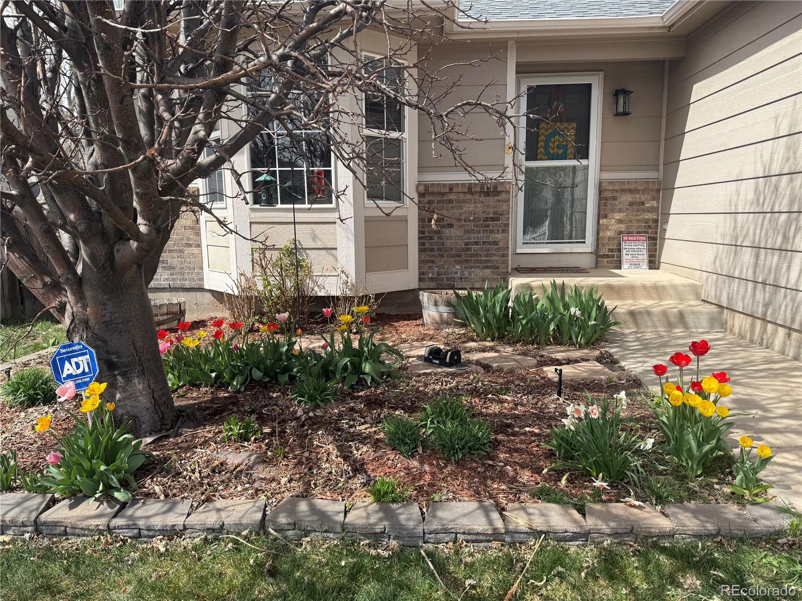MLS Image #1 for 11376  berry farm road,fountain, Colorado