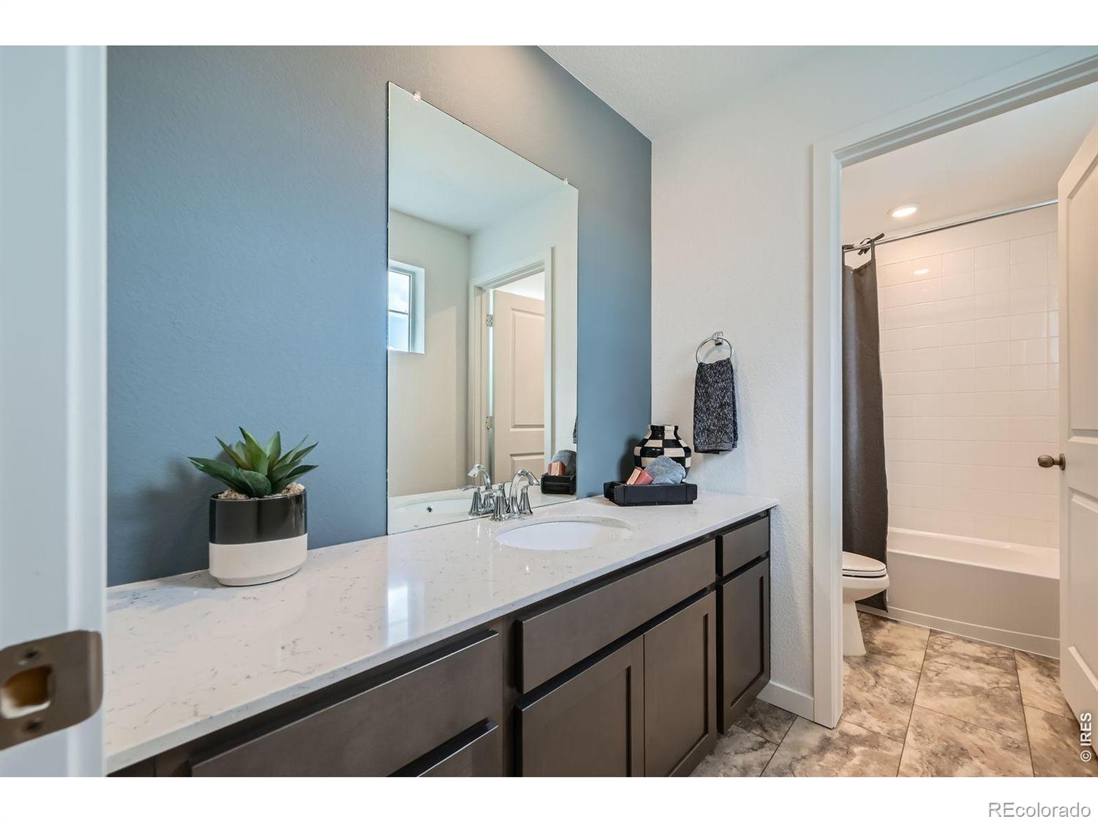 MLS Image #10 for 3004  ironton drive,loveland, Colorado
