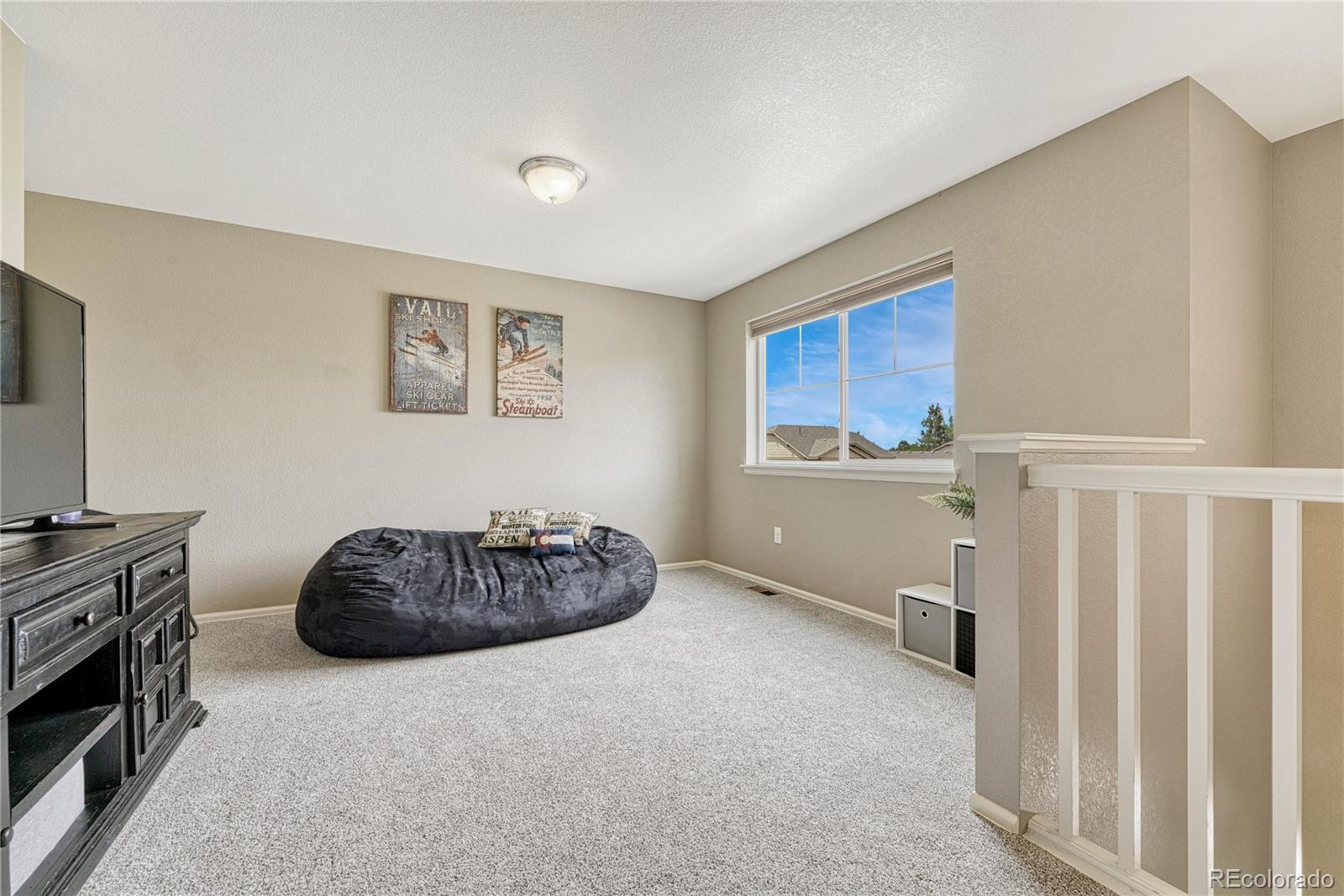 MLS Image #20 for 19382  dunraven street,parker, Colorado