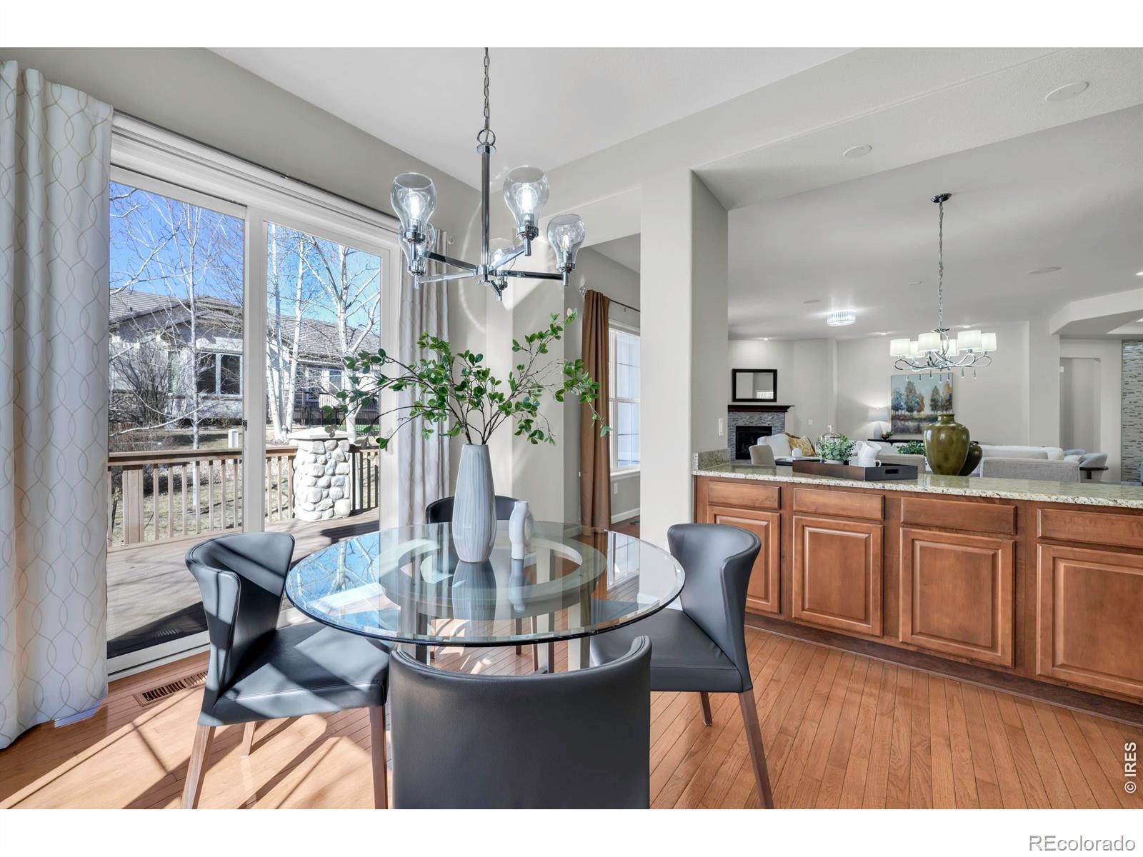 MLS Image #14 for 16659  antero street,broomfield, Colorado