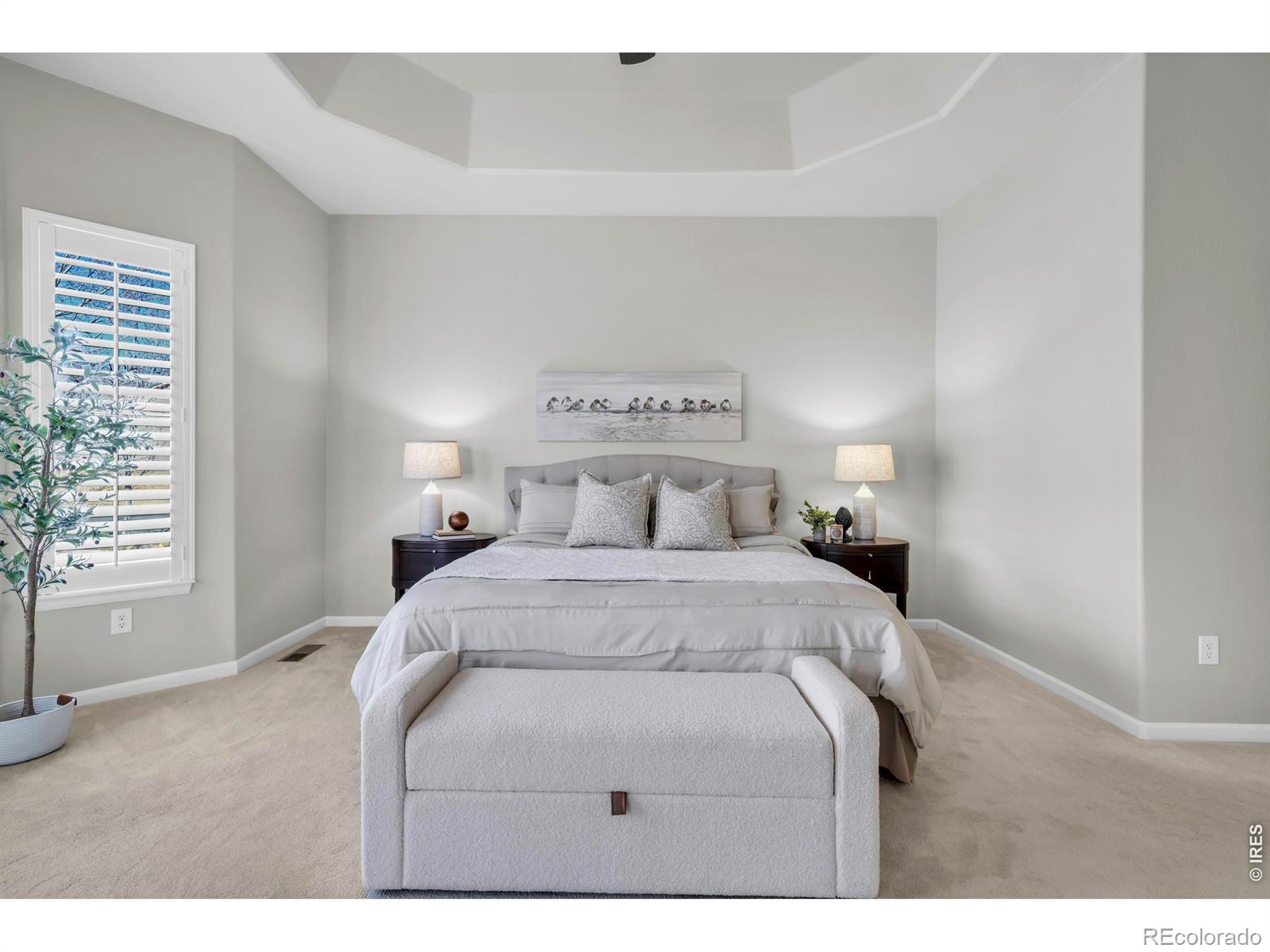 MLS Image #18 for 16659  antero street,broomfield, Colorado