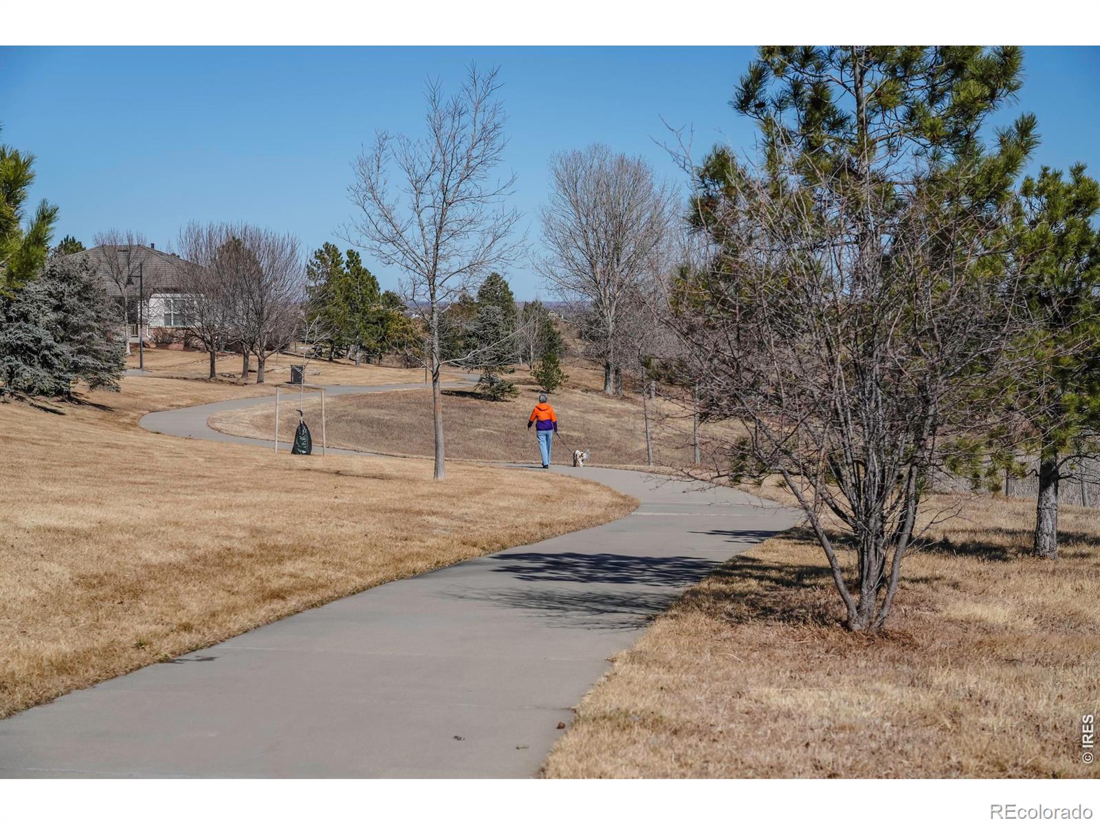 MLS Image #34 for 16659  antero street,broomfield, Colorado