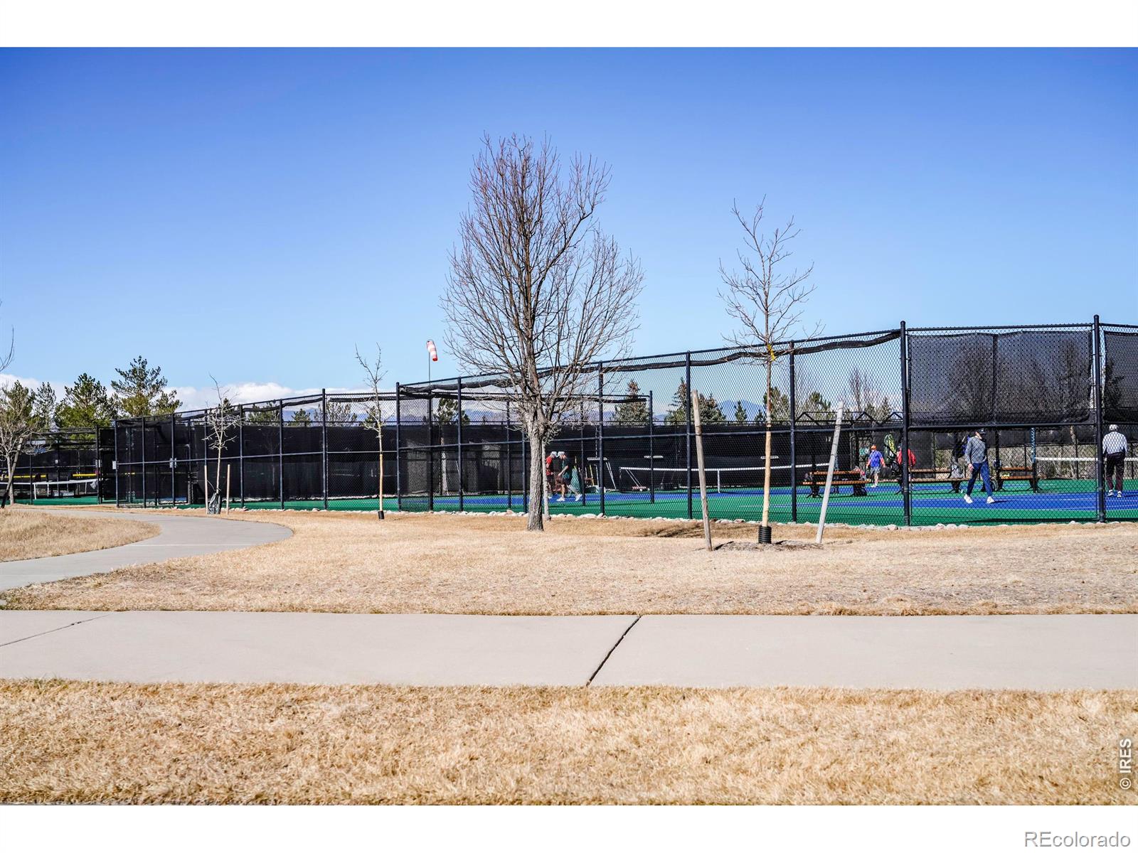 MLS Image #43 for 16659  antero street,broomfield, Colorado