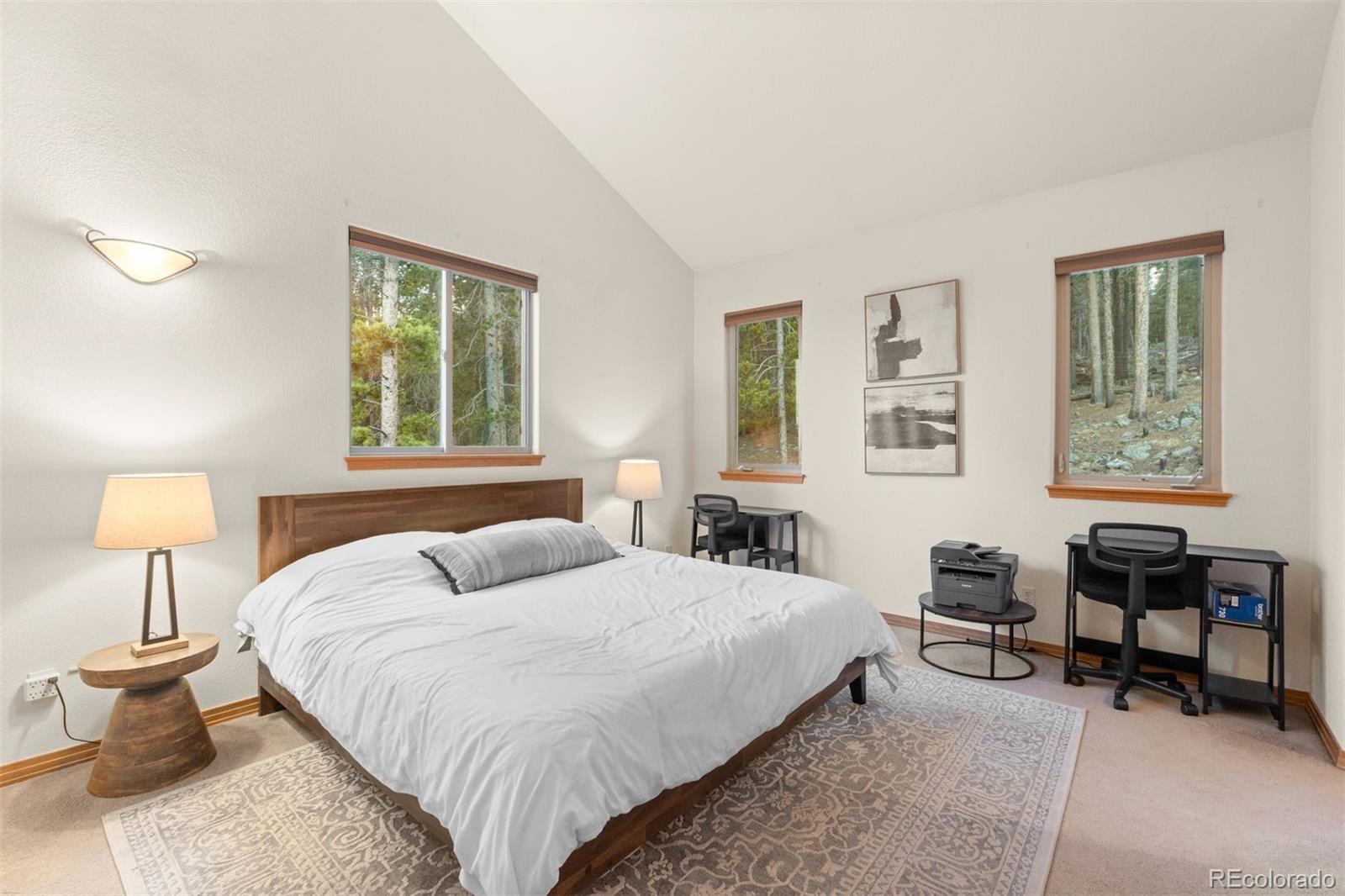 MLS Image #17 for 100  apache road,evergreen, Colorado