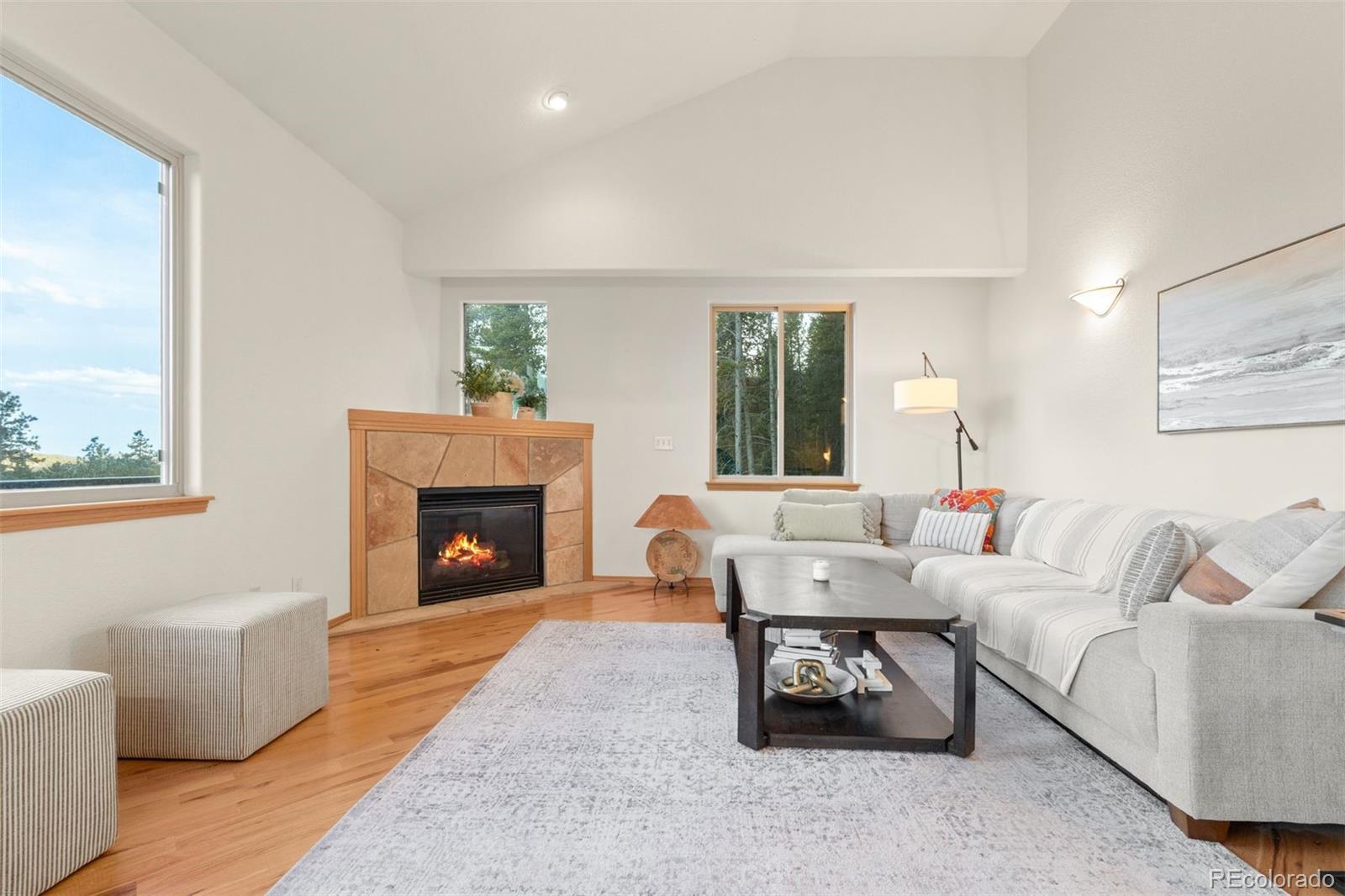 MLS Image #4 for 100  apache road,evergreen, Colorado