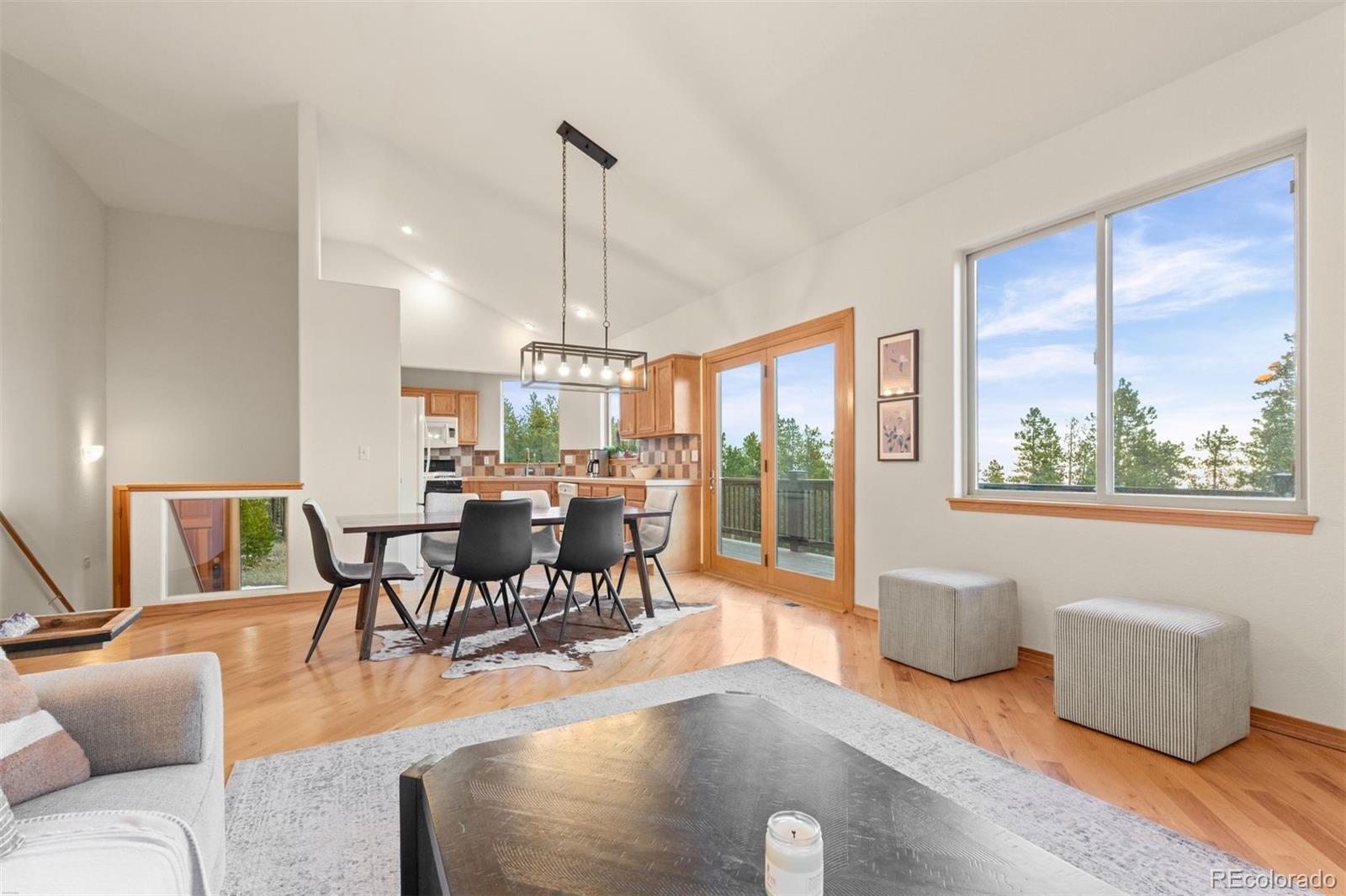 MLS Image #6 for 100  apache road,evergreen, Colorado
