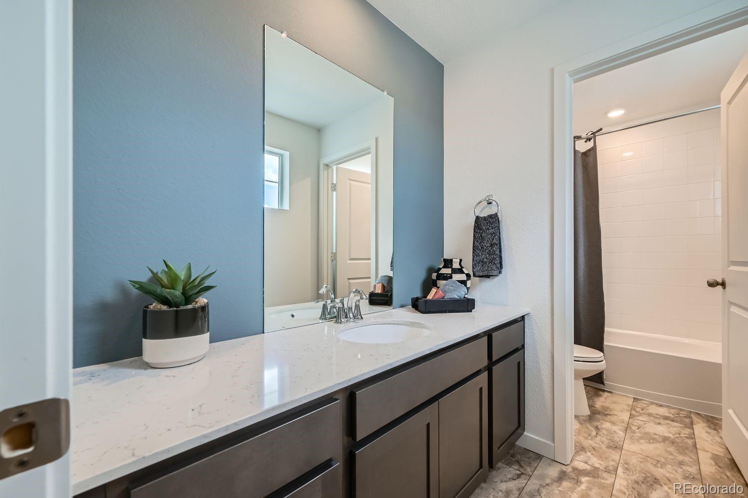 MLS Image #10 for 3004  ironton drive,loveland, Colorado