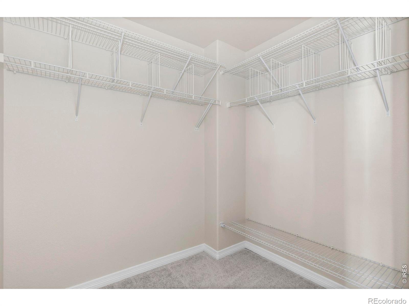 MLS Image #19 for 7418  thistledown drive,windsor, Colorado