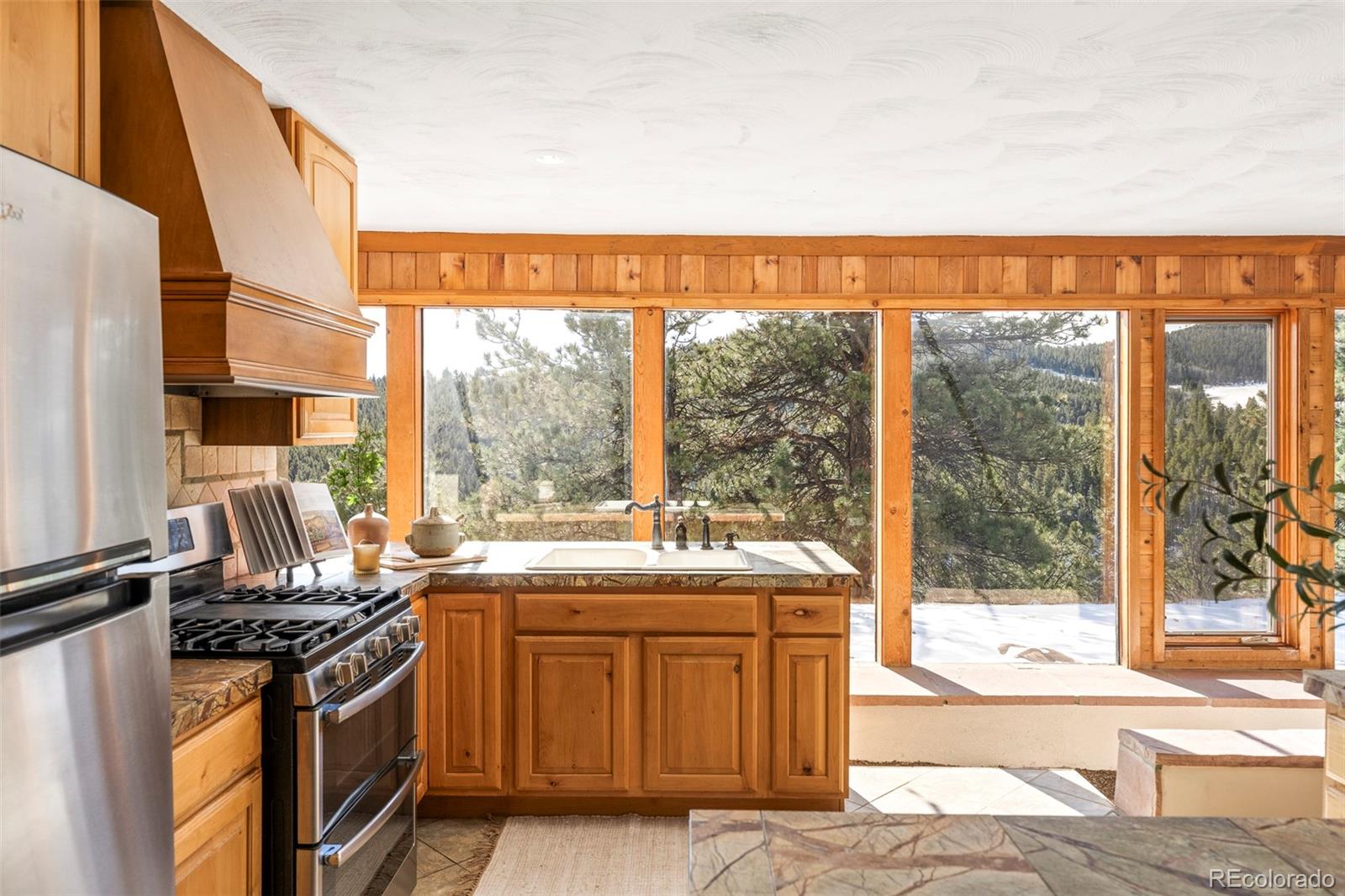 MLS Image #10 for 1110  missouri flats road,central city, Colorado