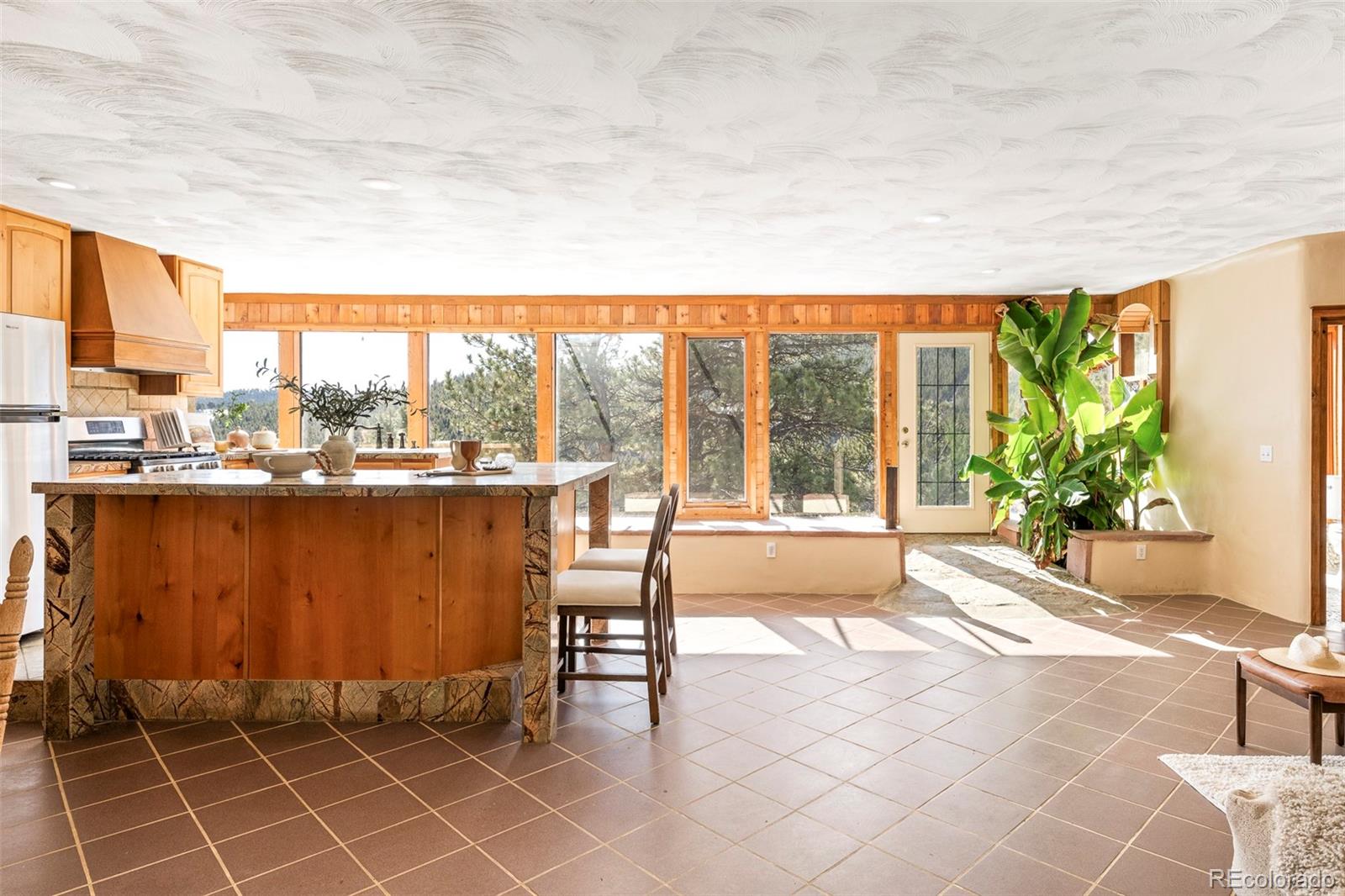 MLS Image #5 for 1110  missouri flats road,central city, Colorado