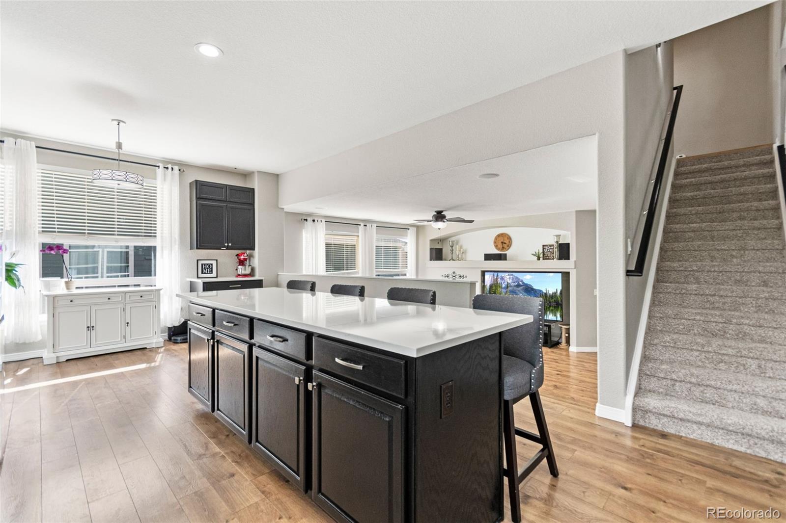 MLS Image #8 for 17102 e rosebay circle,parker, Colorado