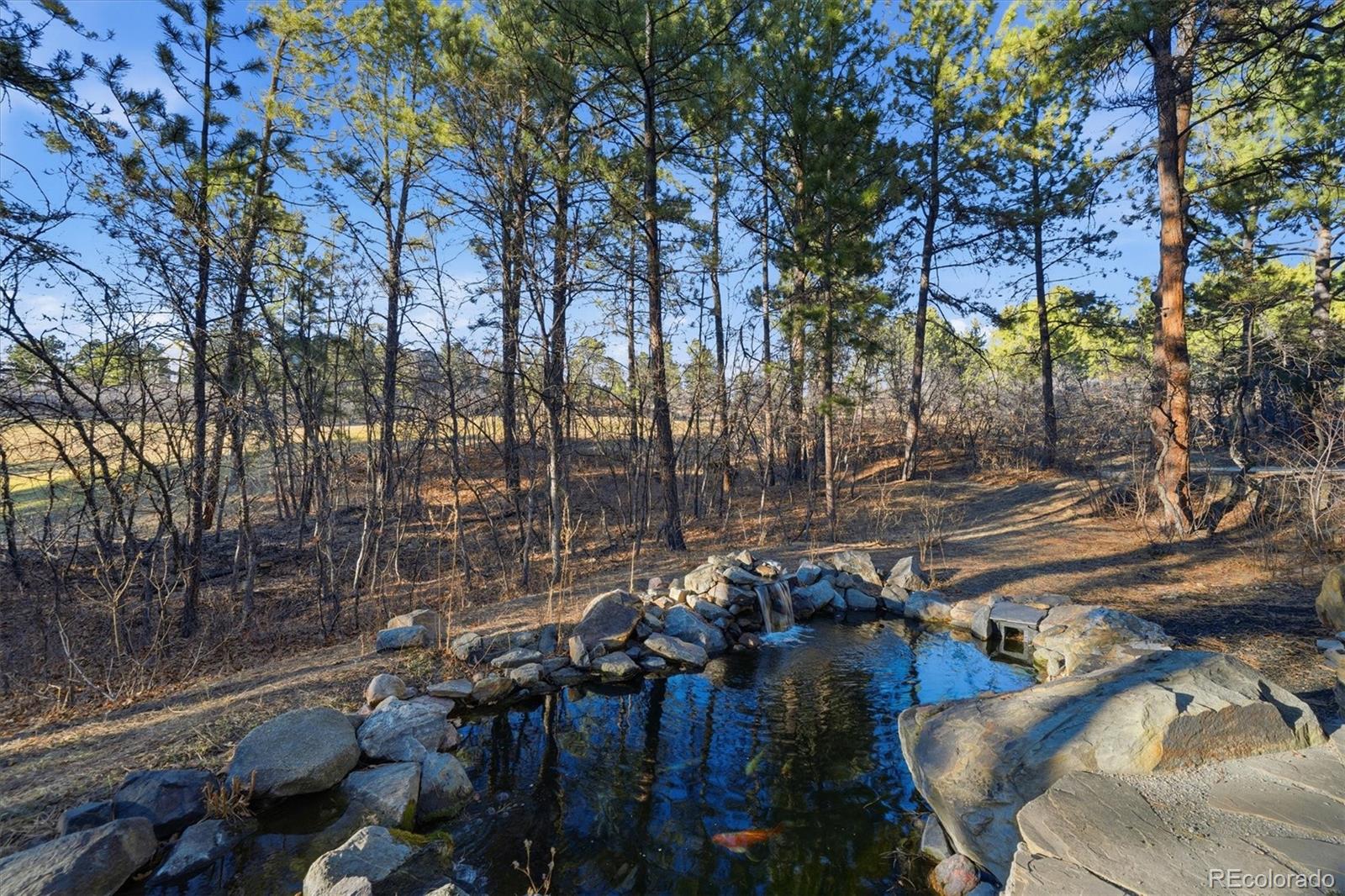 MLS Image #45 for 1277  forest trails drive,castle pines, Colorado