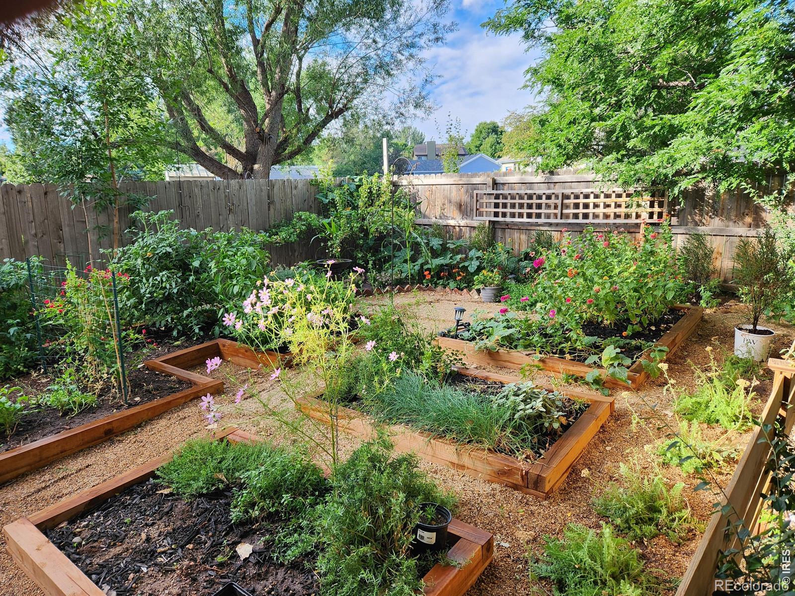 MLS Image #34 for 4125  sunstone drive,fort collins, Colorado