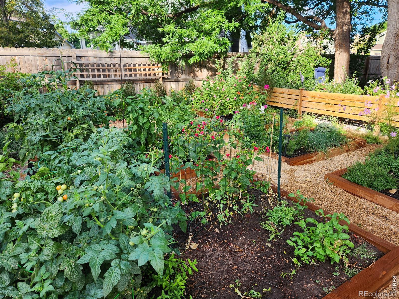 MLS Image #35 for 4125  sunstone drive,fort collins, Colorado