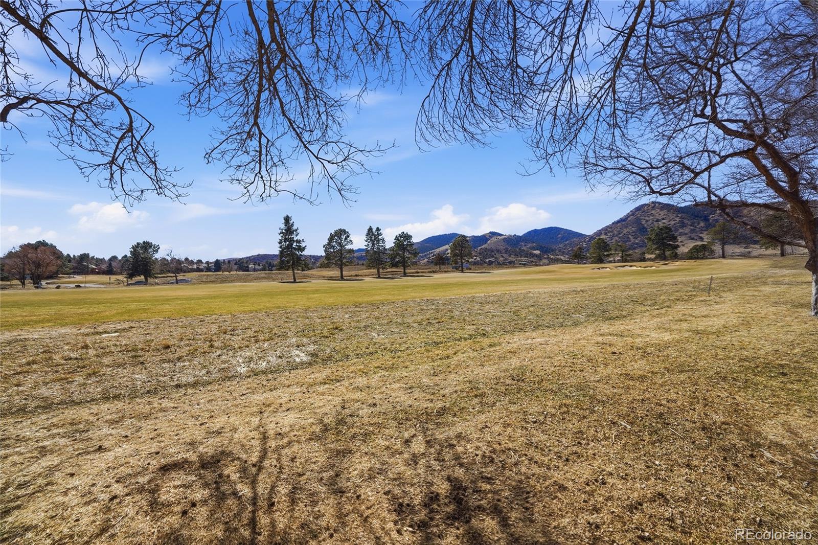 MLS Image #23 for 15976  double eagle drive,morrison, Colorado