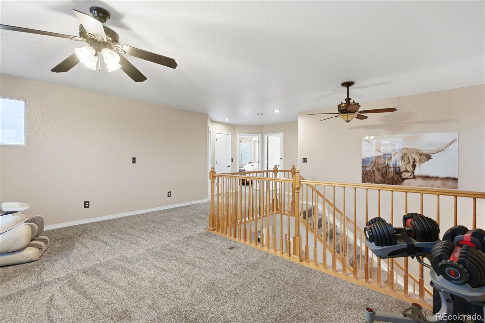 MLS Image #5 for 11565 e 119th avenue,commerce city, Colorado