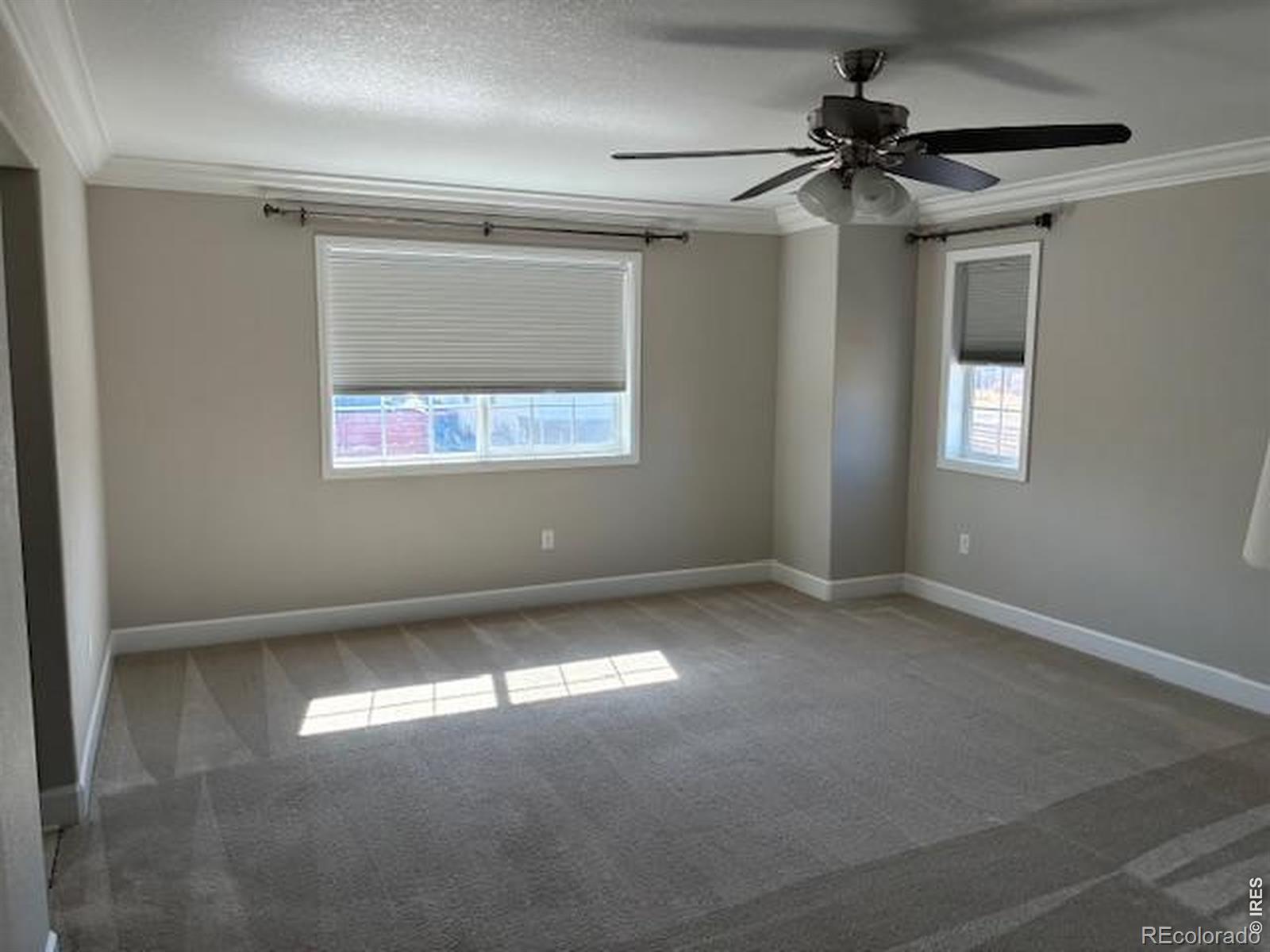 MLS Image #13 for 132  equinox circle,erie, Colorado