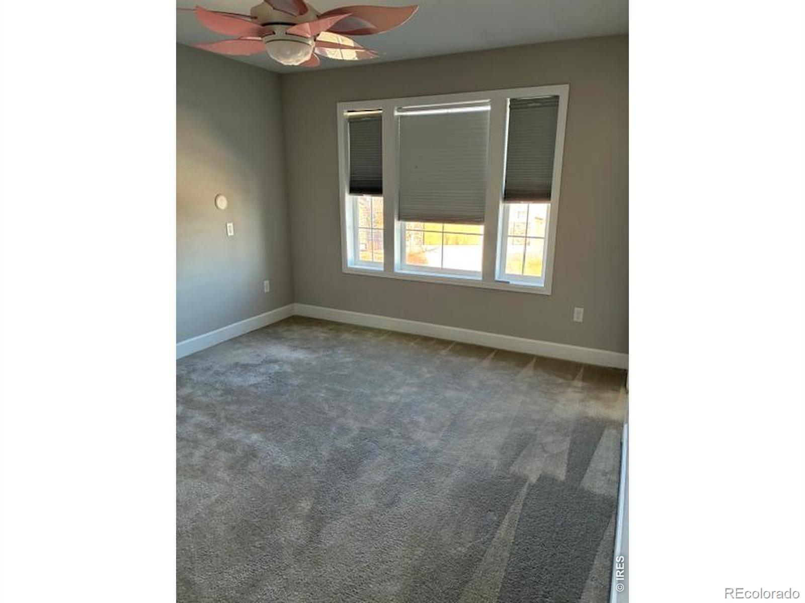 MLS Image #17 for 132  equinox circle,erie, Colorado
