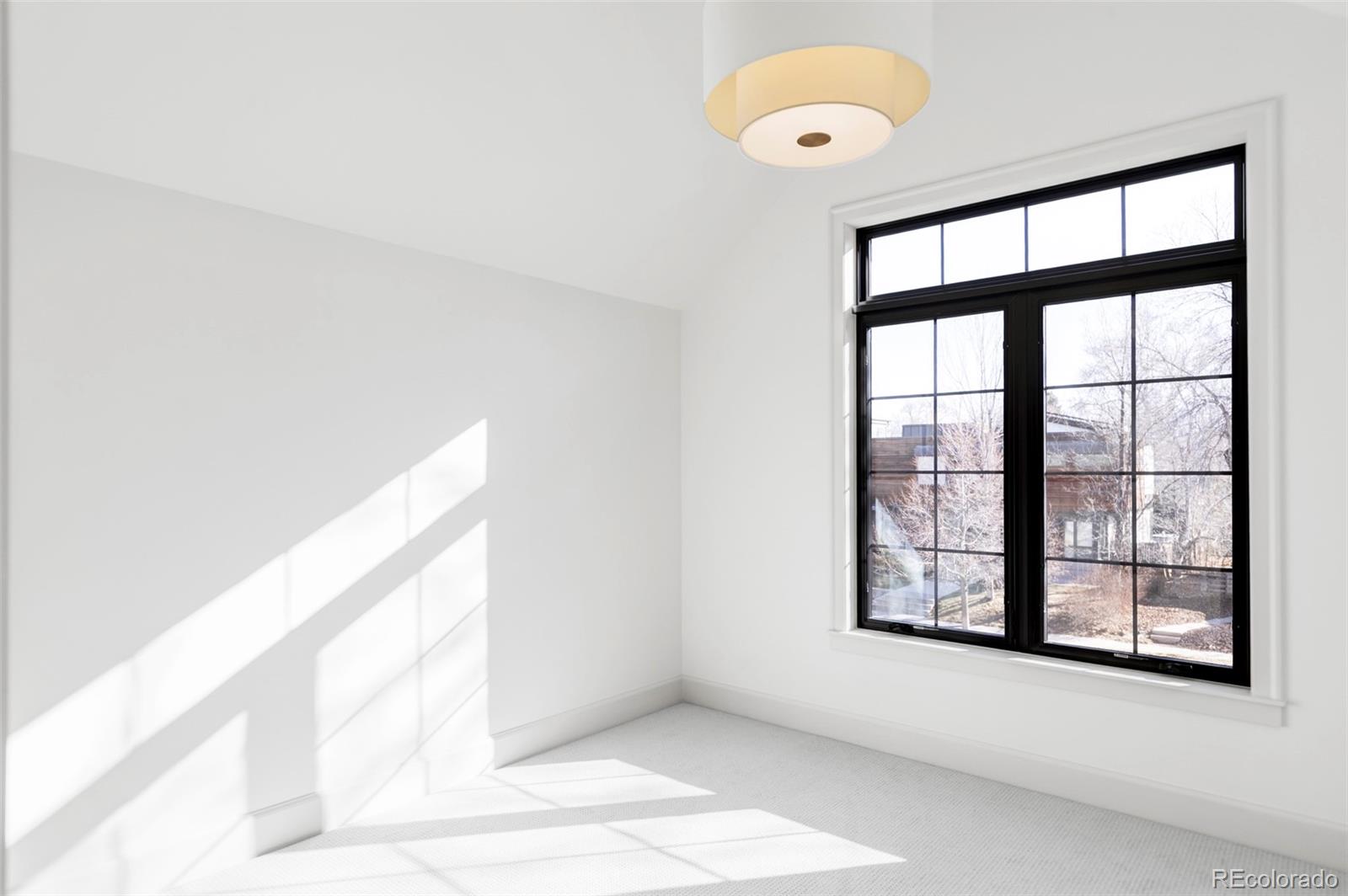 MLS Image #19 for 1739 s corona street,denver, Colorado