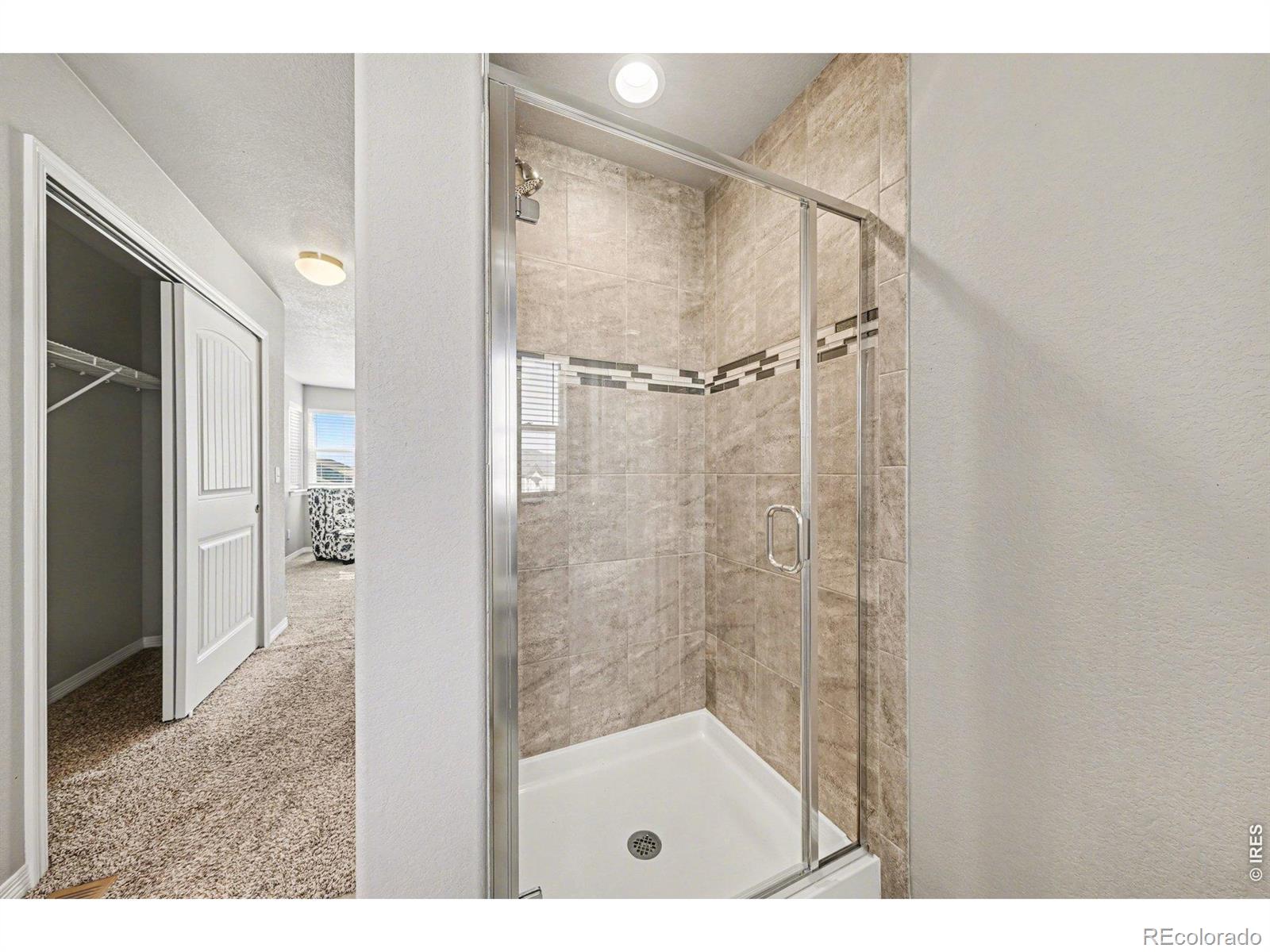 MLS Image #19 for 5392  homeward drive,timnath, Colorado