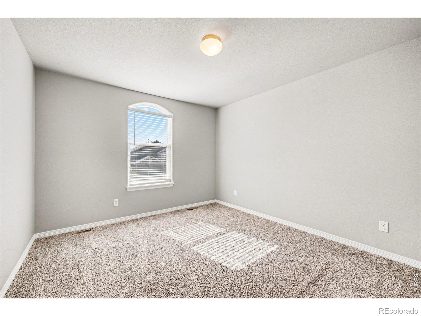 MLS Image #22 for 5392  homeward drive,timnath, Colorado
