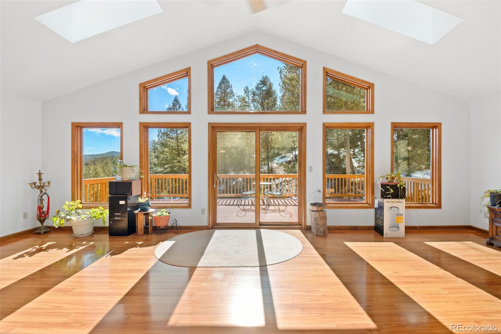 MLS Image #10 for 1269  roland drive,bailey, Colorado