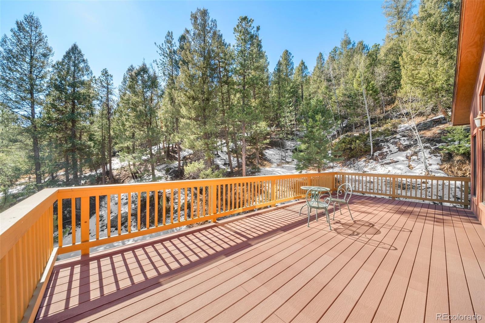 MLS Image #11 for 1269  roland drive,bailey, Colorado