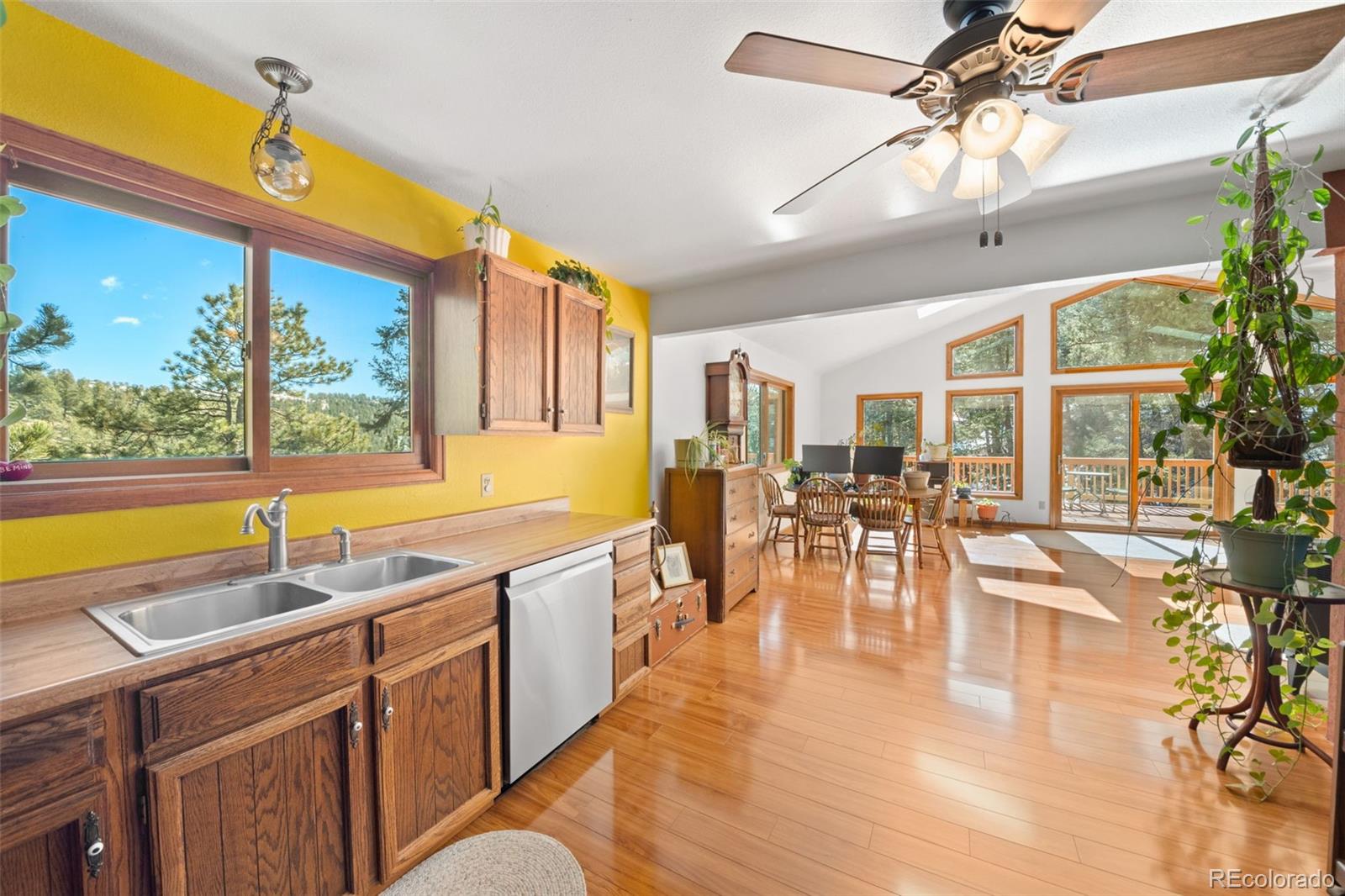 MLS Image #16 for 1269  roland drive,bailey, Colorado