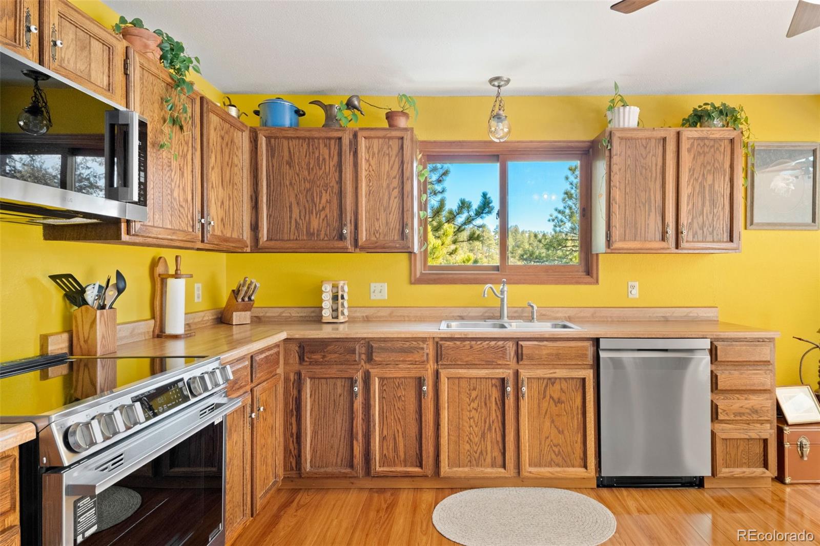MLS Image #17 for 1269  roland drive,bailey, Colorado