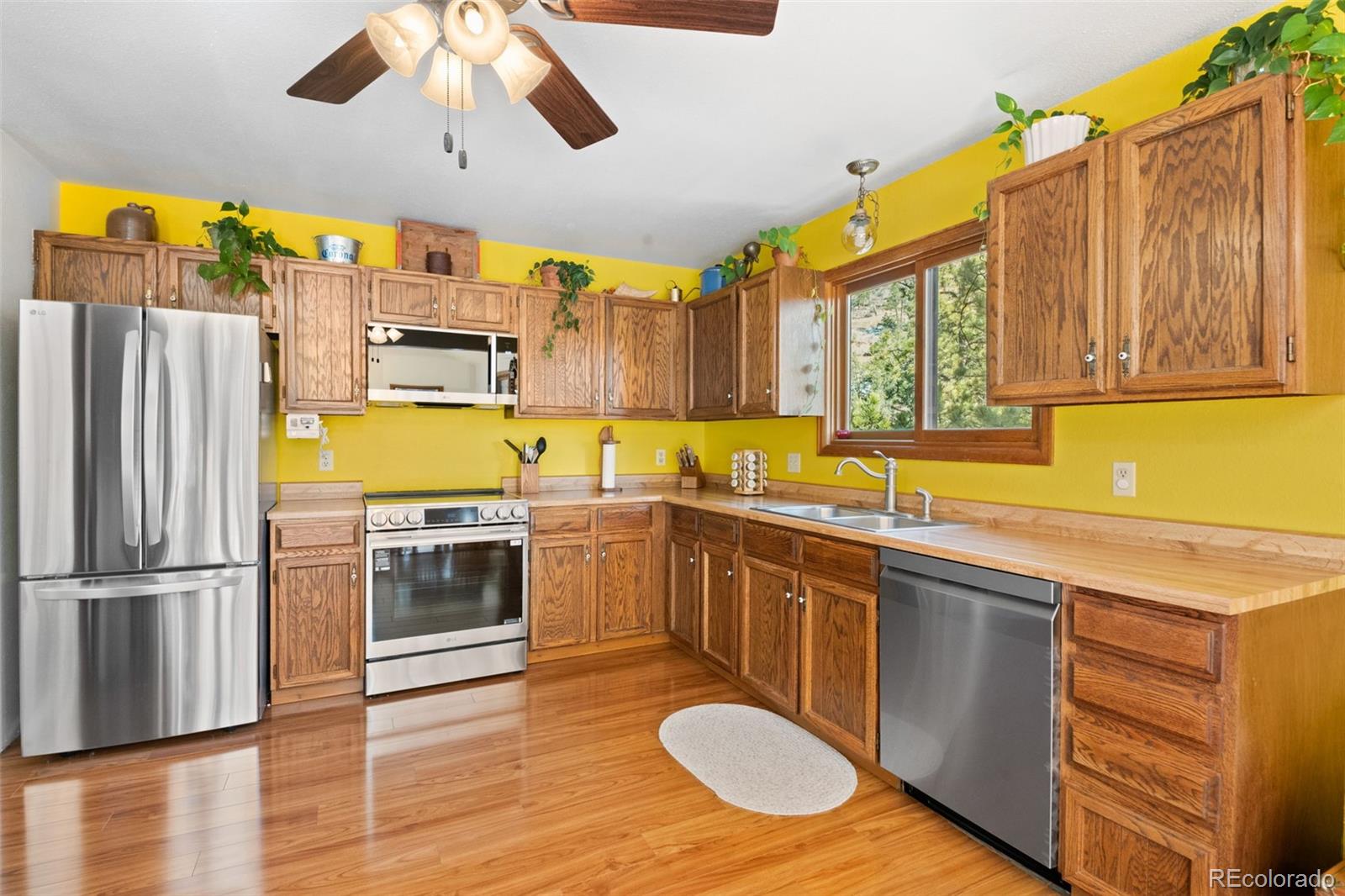 MLS Image #18 for 1269  roland drive,bailey, Colorado