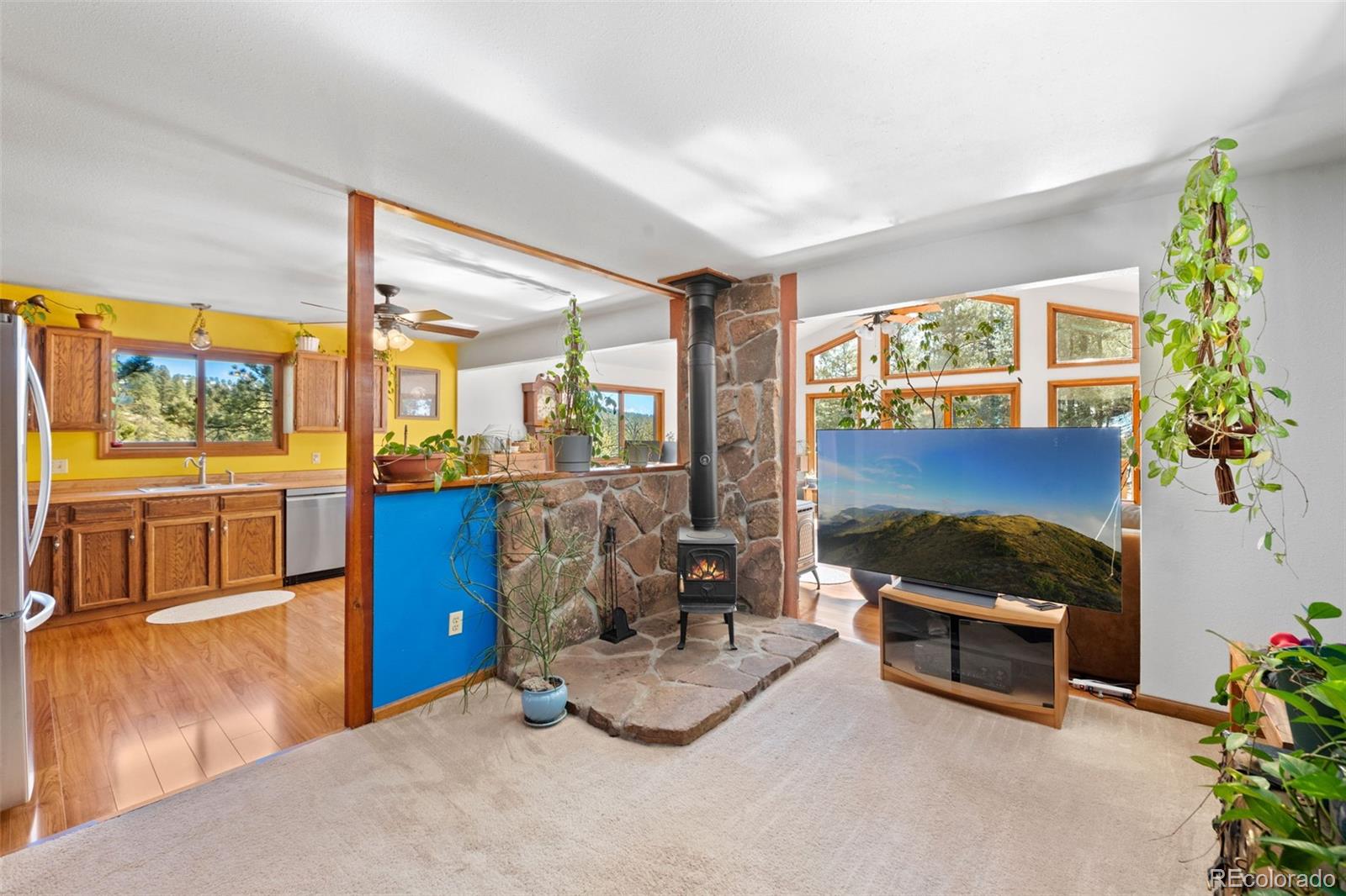 MLS Image #19 for 1269  roland drive,bailey, Colorado