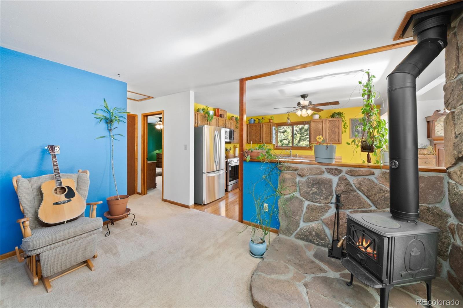 MLS Image #20 for 1269  roland drive,bailey, Colorado