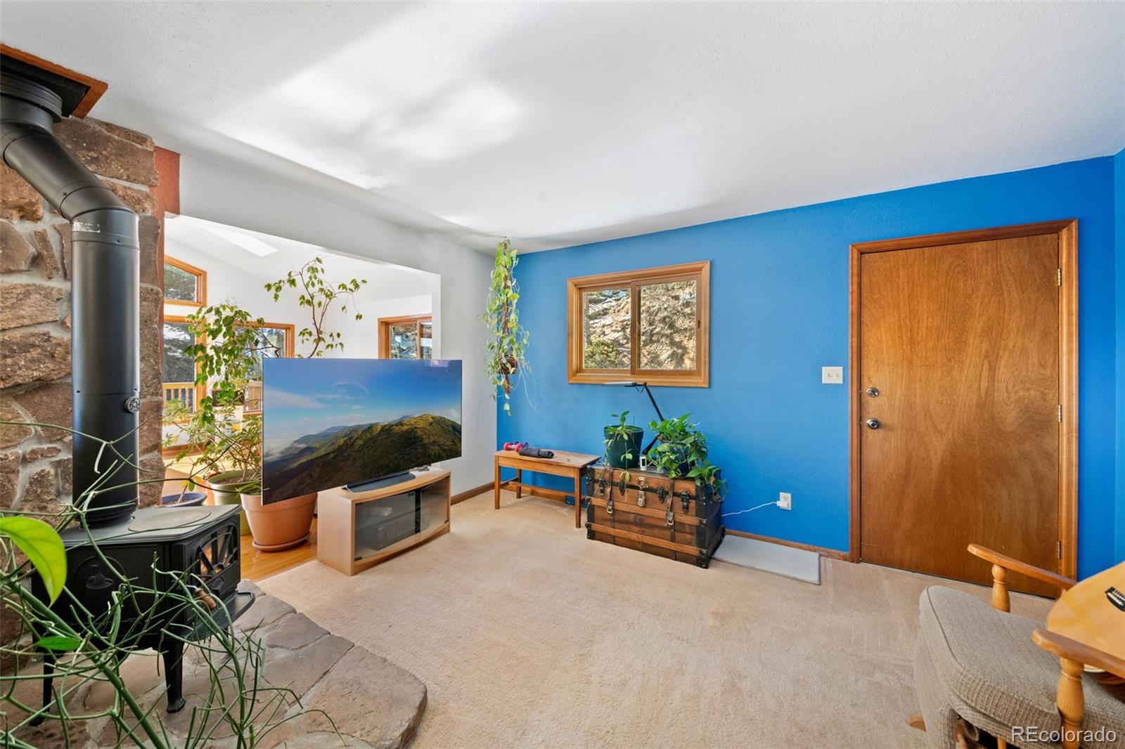MLS Image #21 for 1269  roland drive,bailey, Colorado