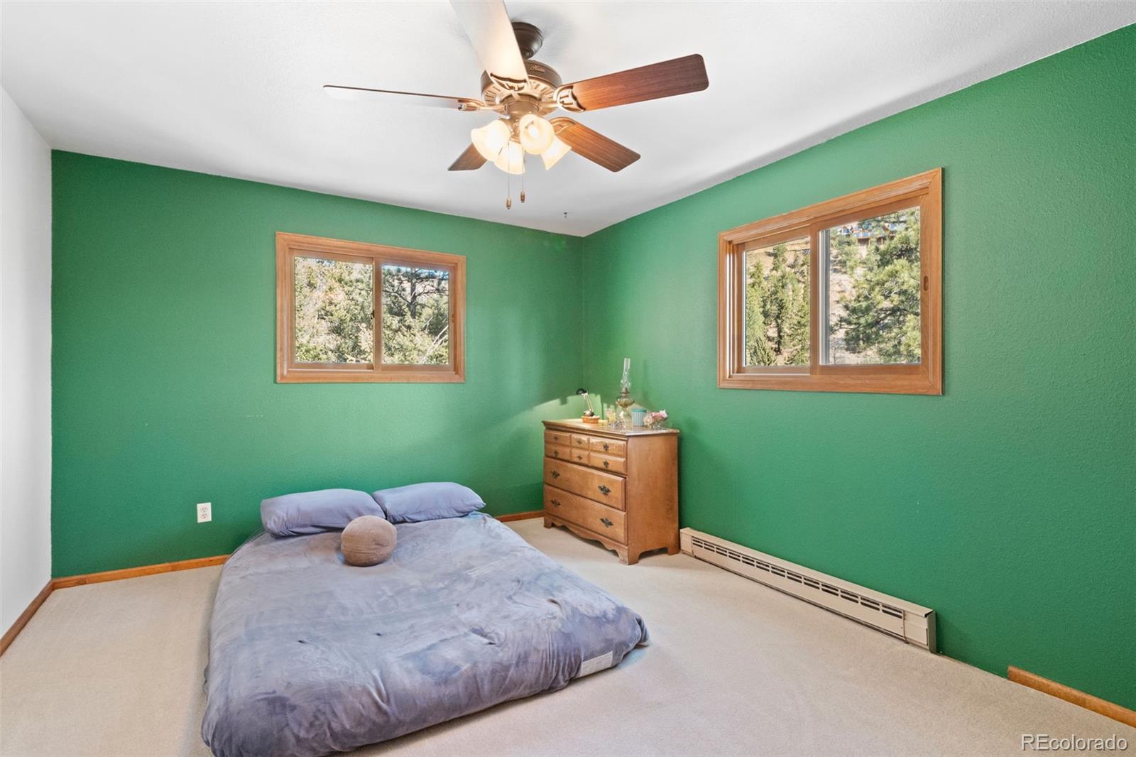 MLS Image #23 for 1269  roland drive,bailey, Colorado