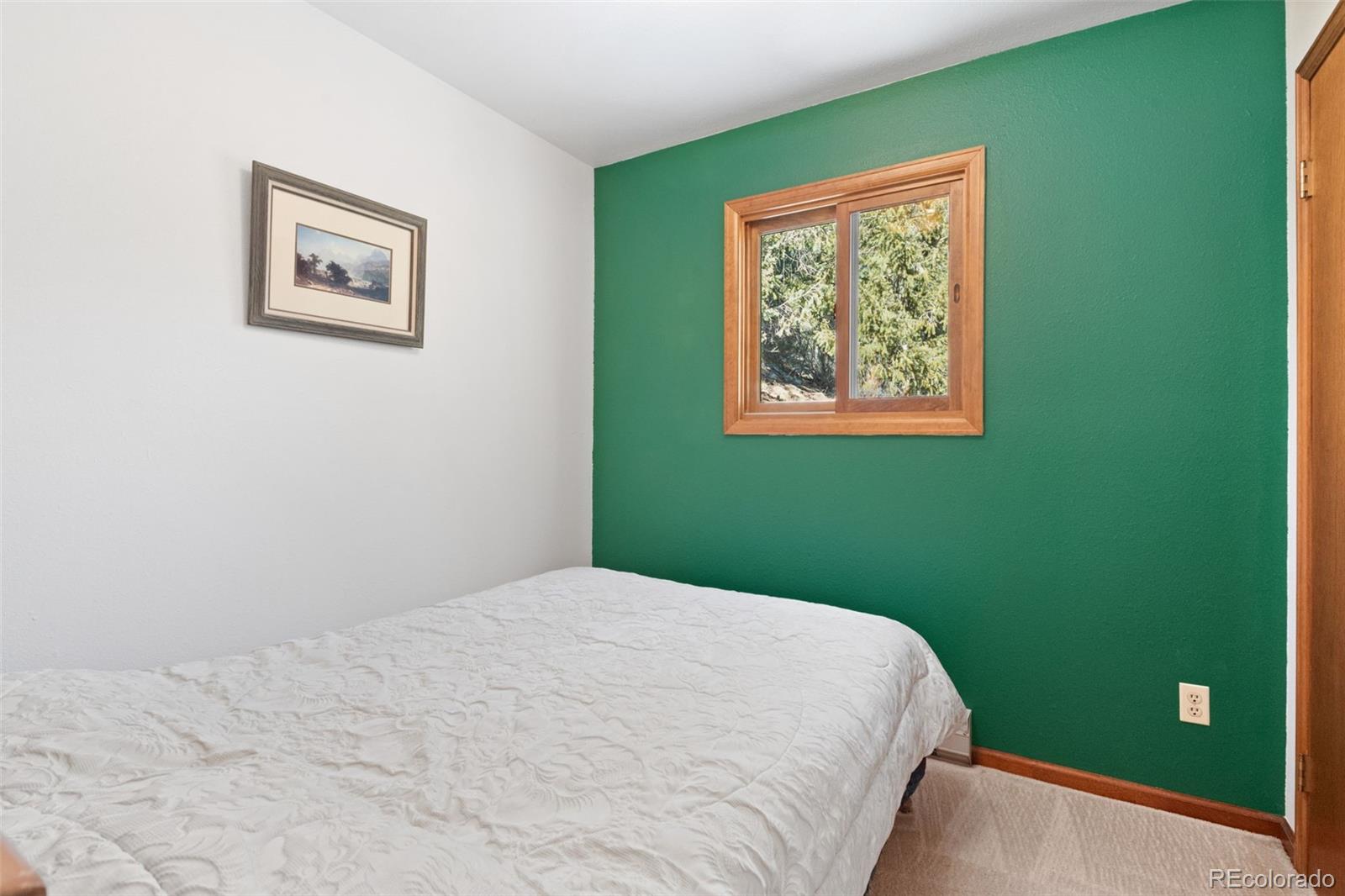 MLS Image #25 for 1269  roland drive,bailey, Colorado