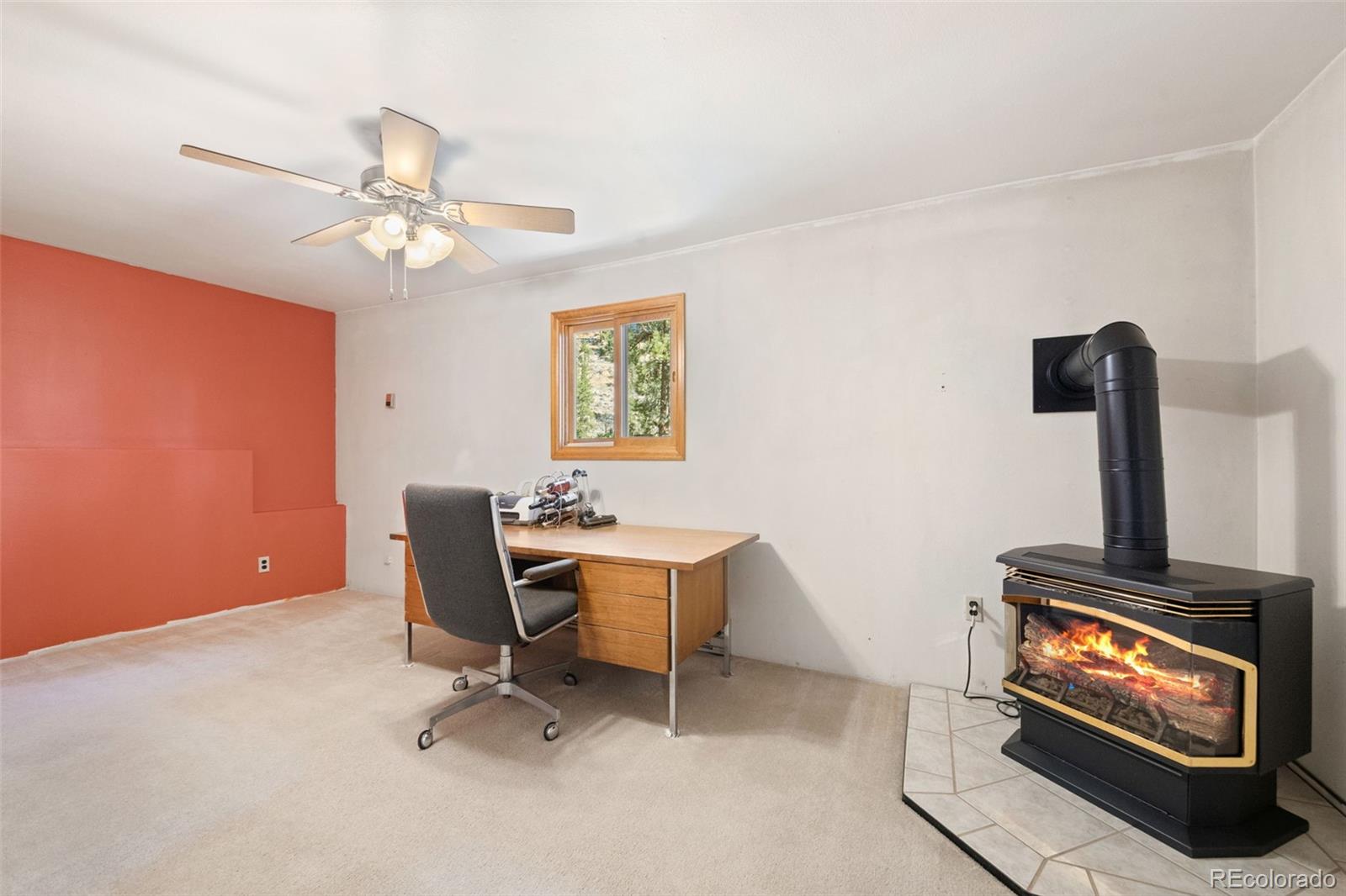 MLS Image #26 for 1269  roland drive,bailey, Colorado