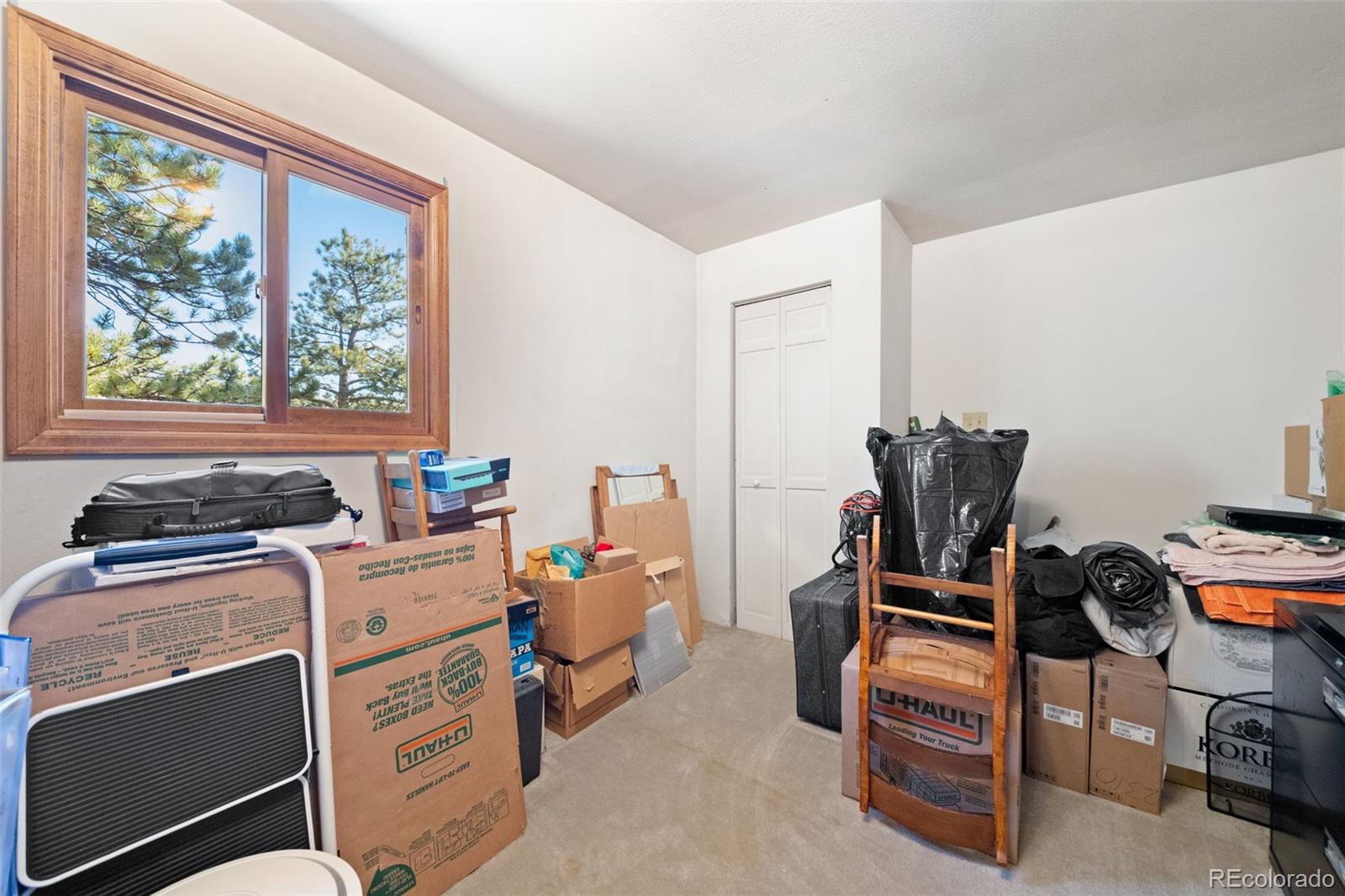 MLS Image #28 for 1269  roland drive,bailey, Colorado