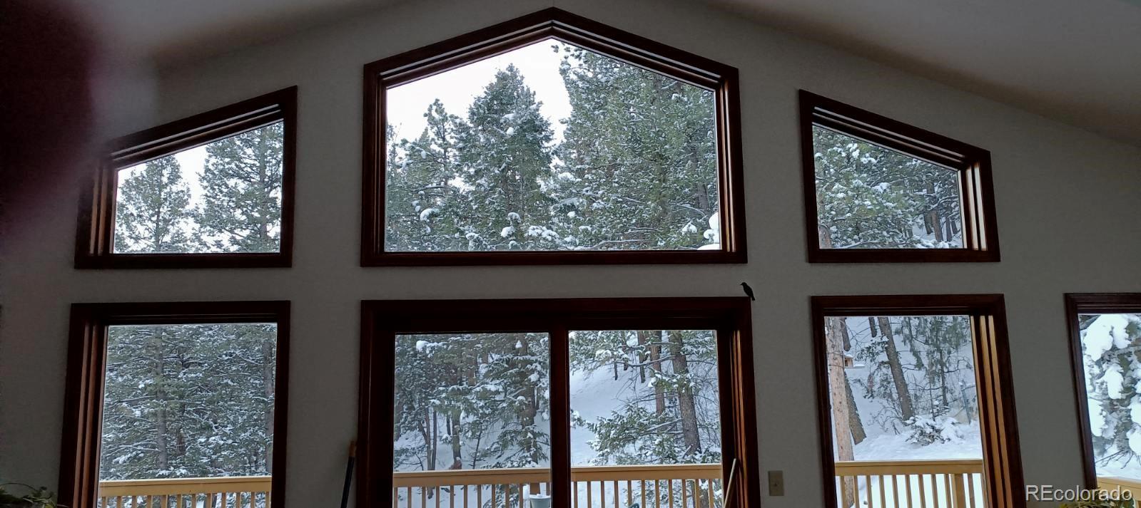MLS Image #36 for 1269  roland drive,bailey, Colorado