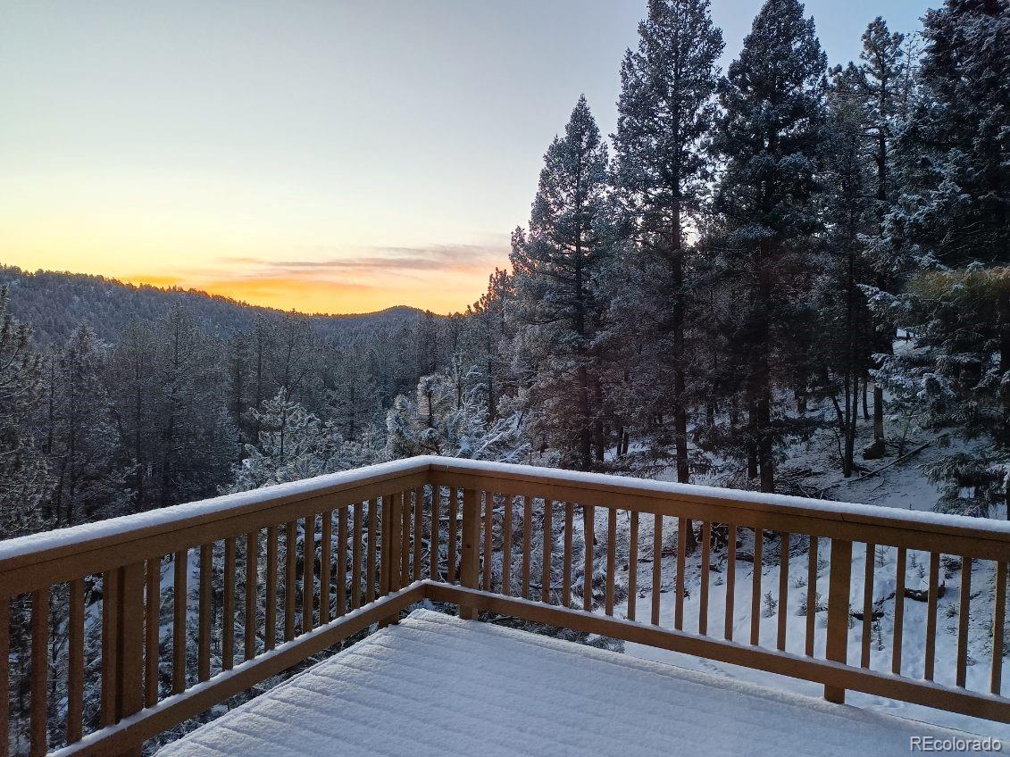 MLS Image #37 for 1269  roland drive,bailey, Colorado