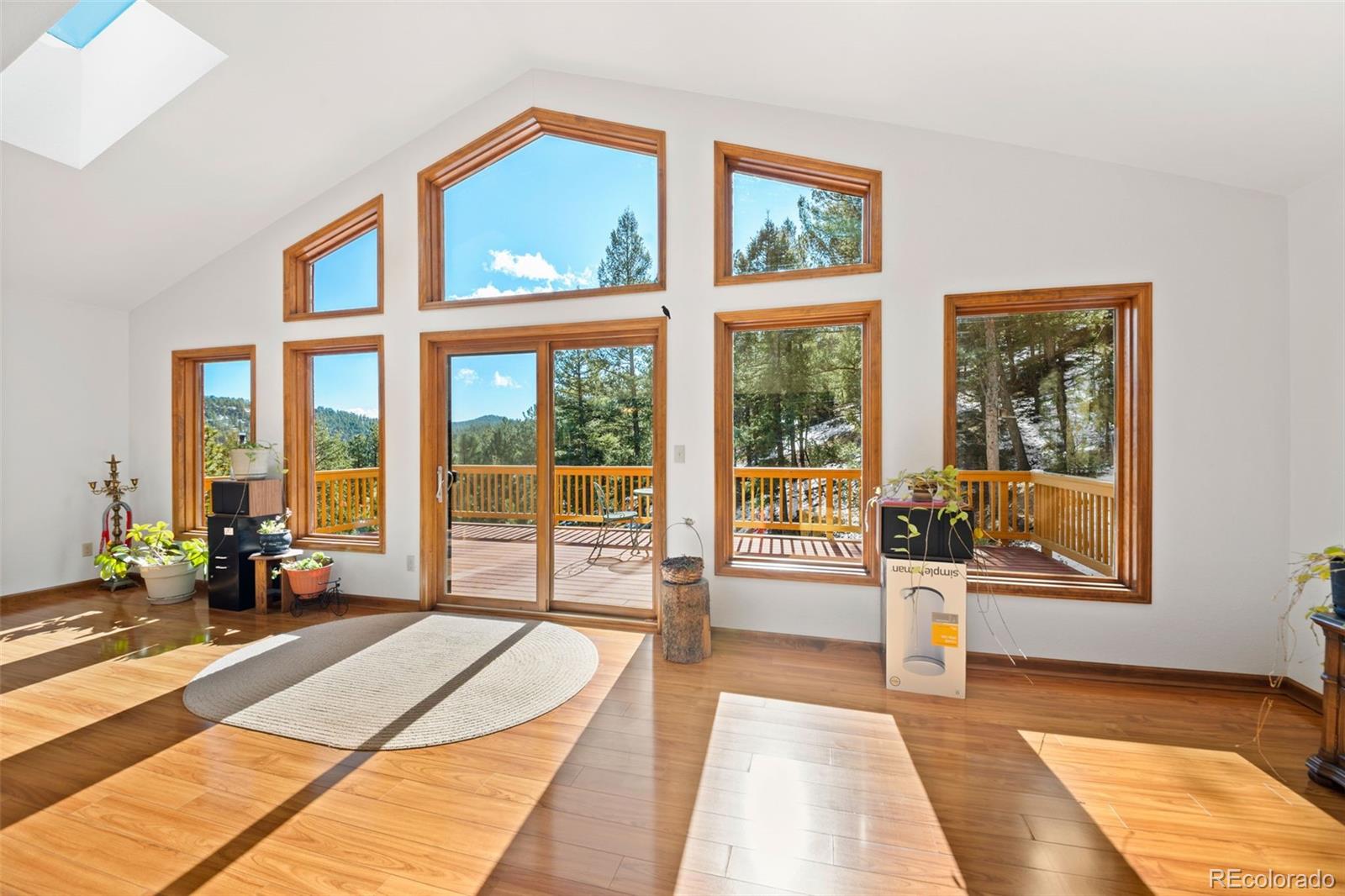 MLS Image #6 for 1269  roland drive,bailey, Colorado