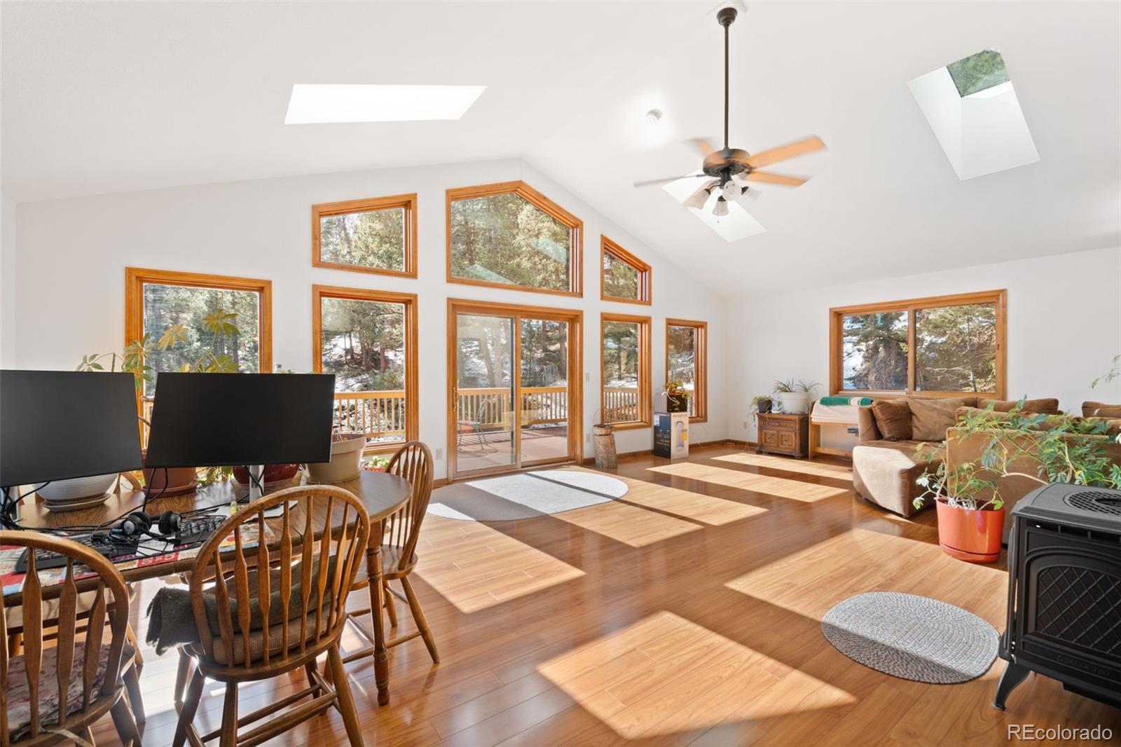 MLS Image #8 for 1269  roland drive,bailey, Colorado