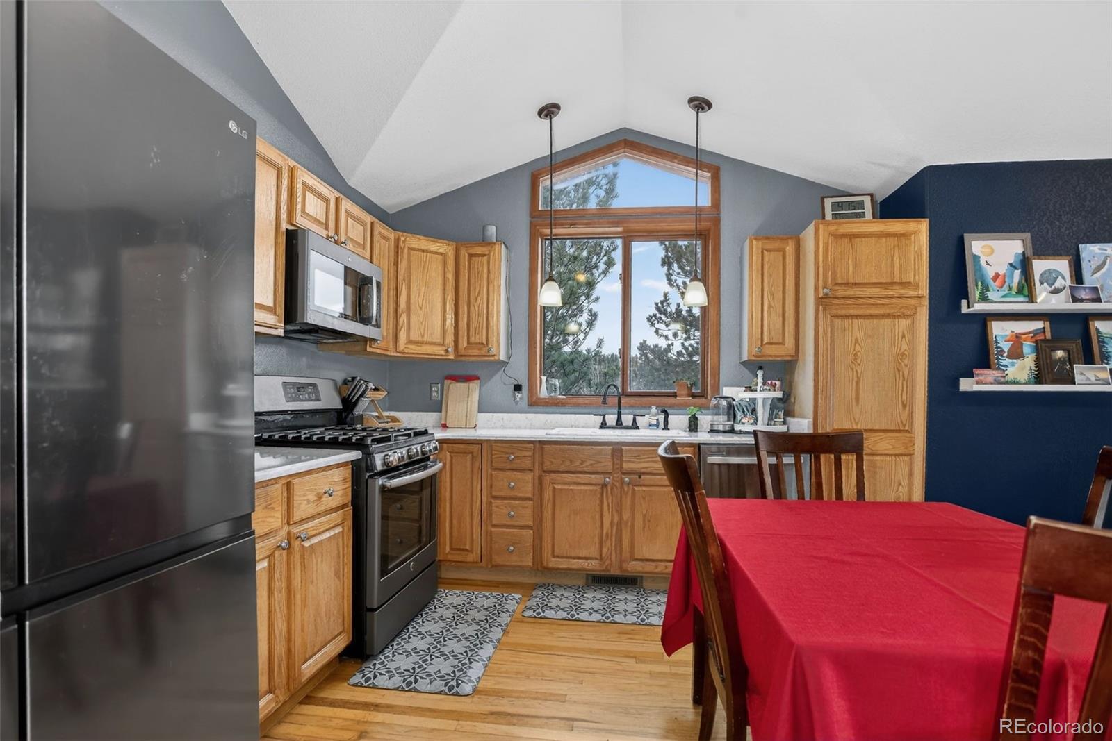 MLS Image #11 for 38  mesa court,bailey, Colorado