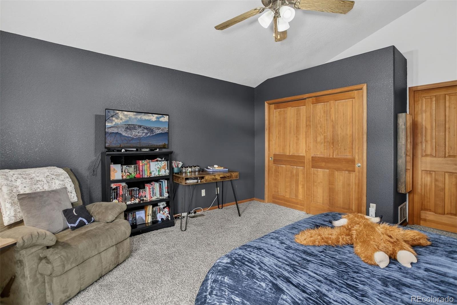 MLS Image #17 for 38  mesa court,bailey, Colorado