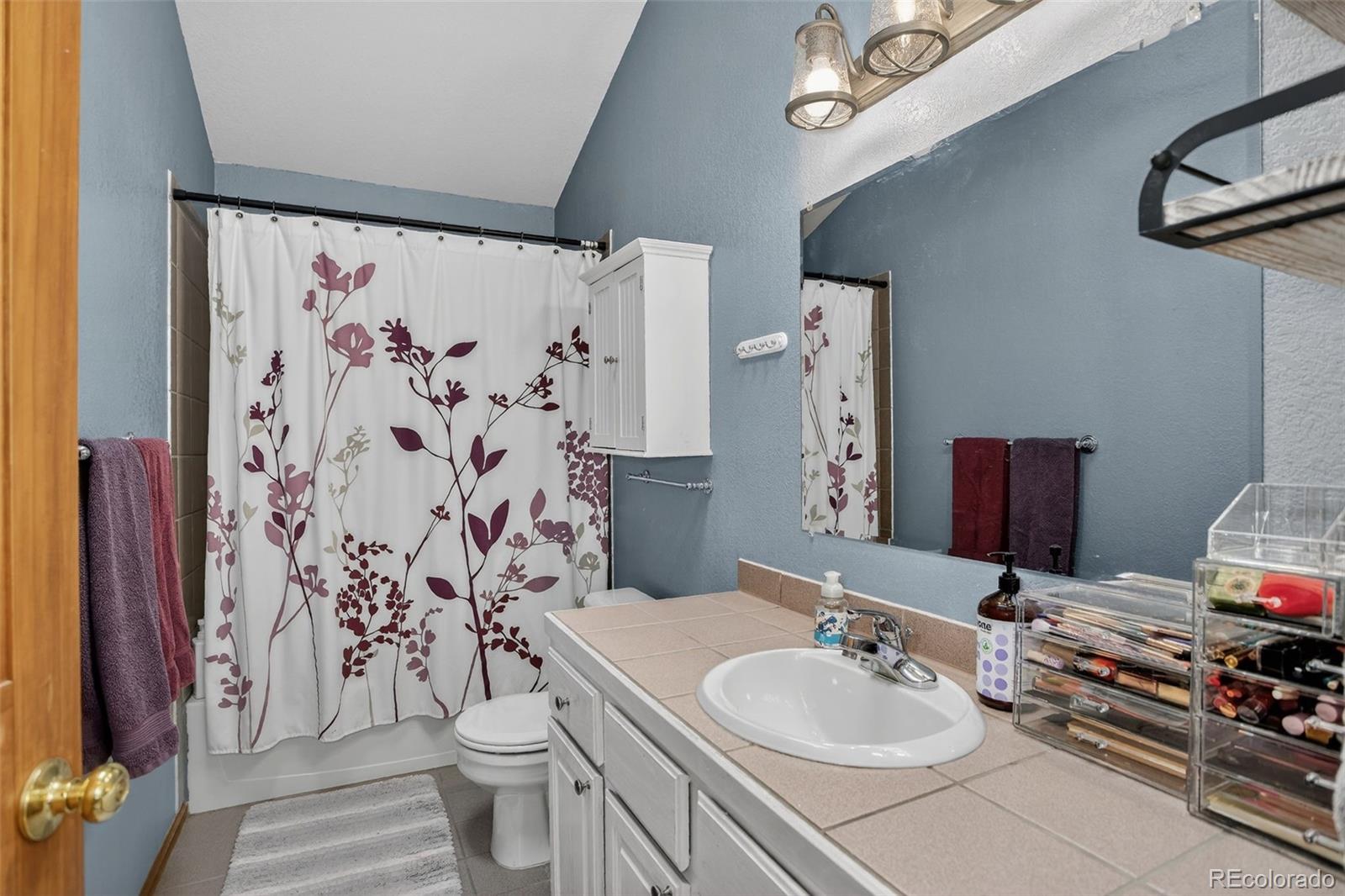 MLS Image #19 for 38  mesa court,bailey, Colorado