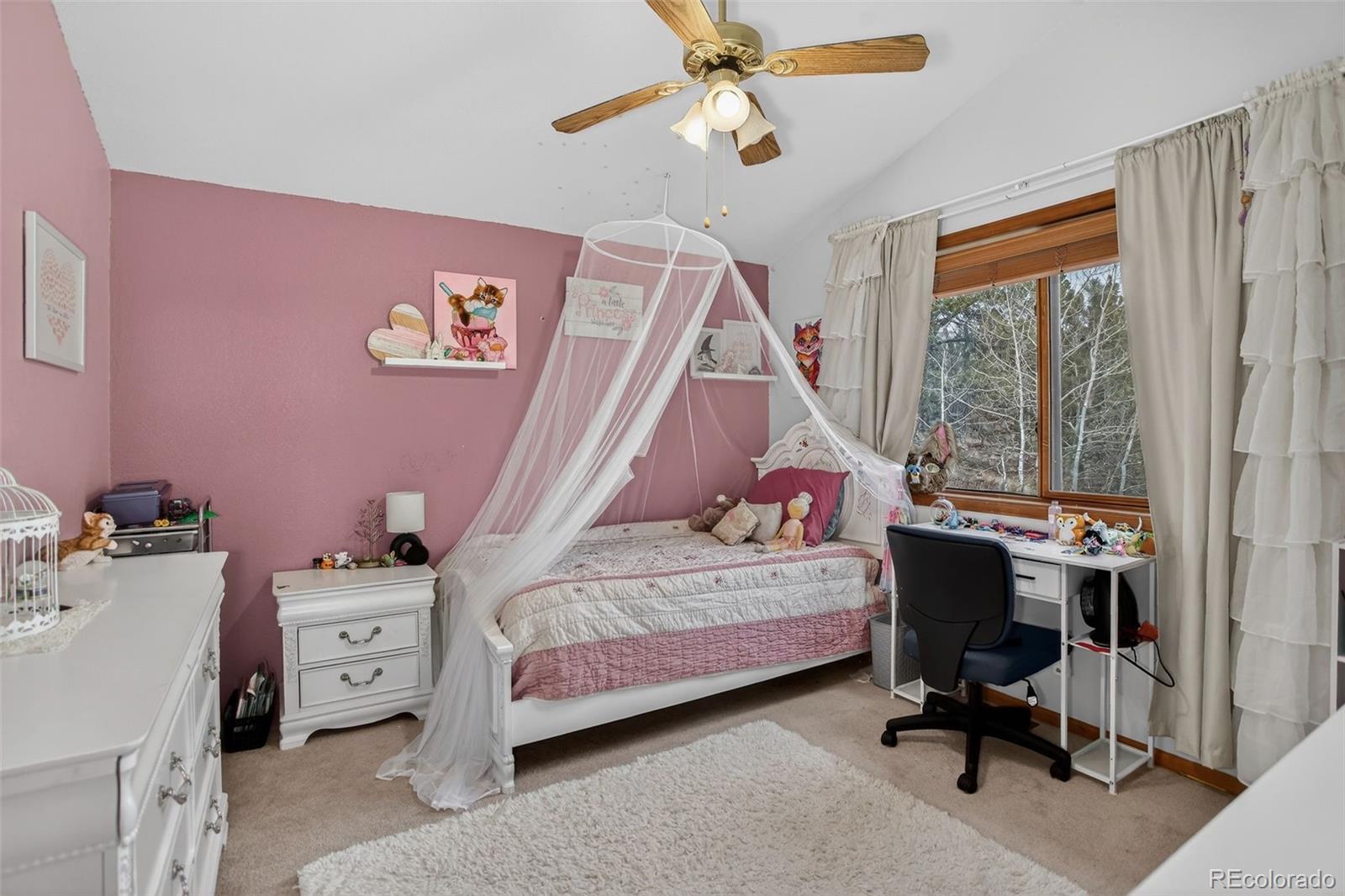 MLS Image #20 for 38  mesa court,bailey, Colorado