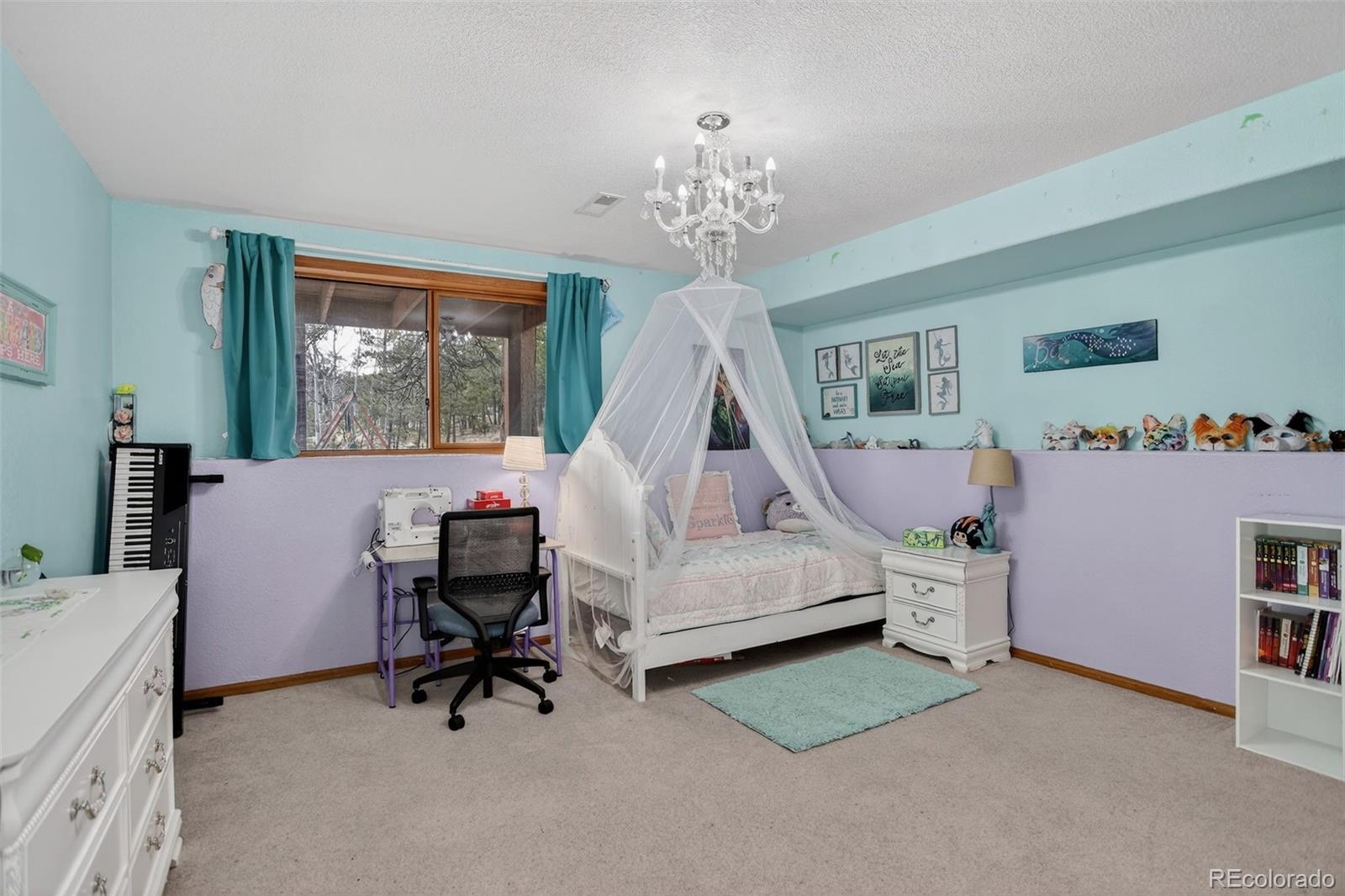 MLS Image #25 for 38  mesa court,bailey, Colorado