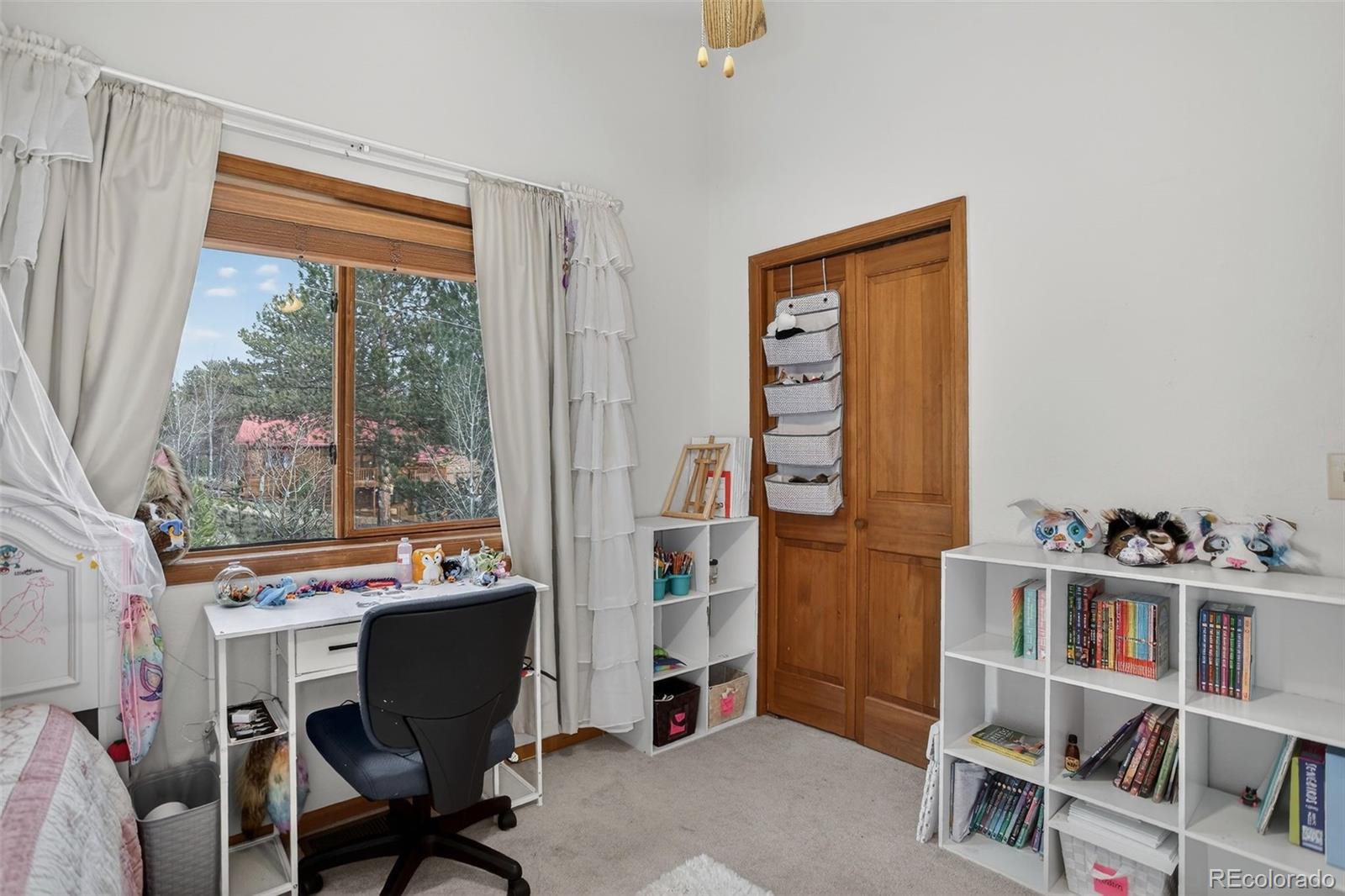 MLS Image #27 for 38  mesa court,bailey, Colorado