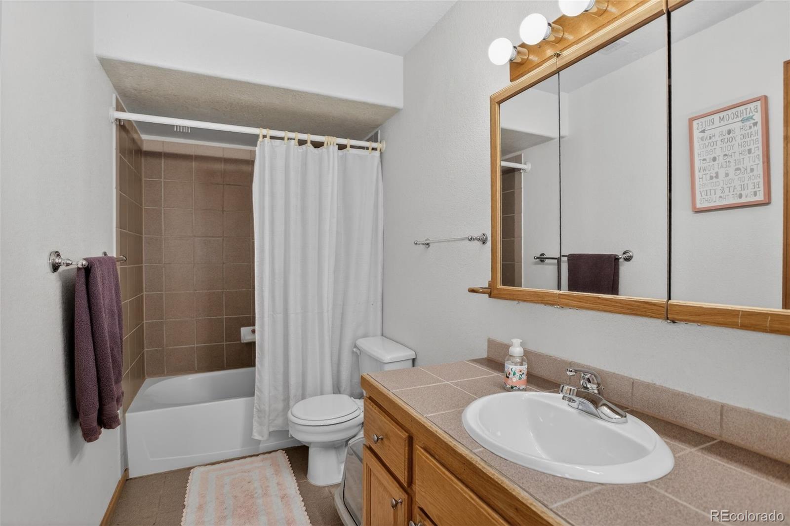 MLS Image #28 for 38  mesa court,bailey, Colorado