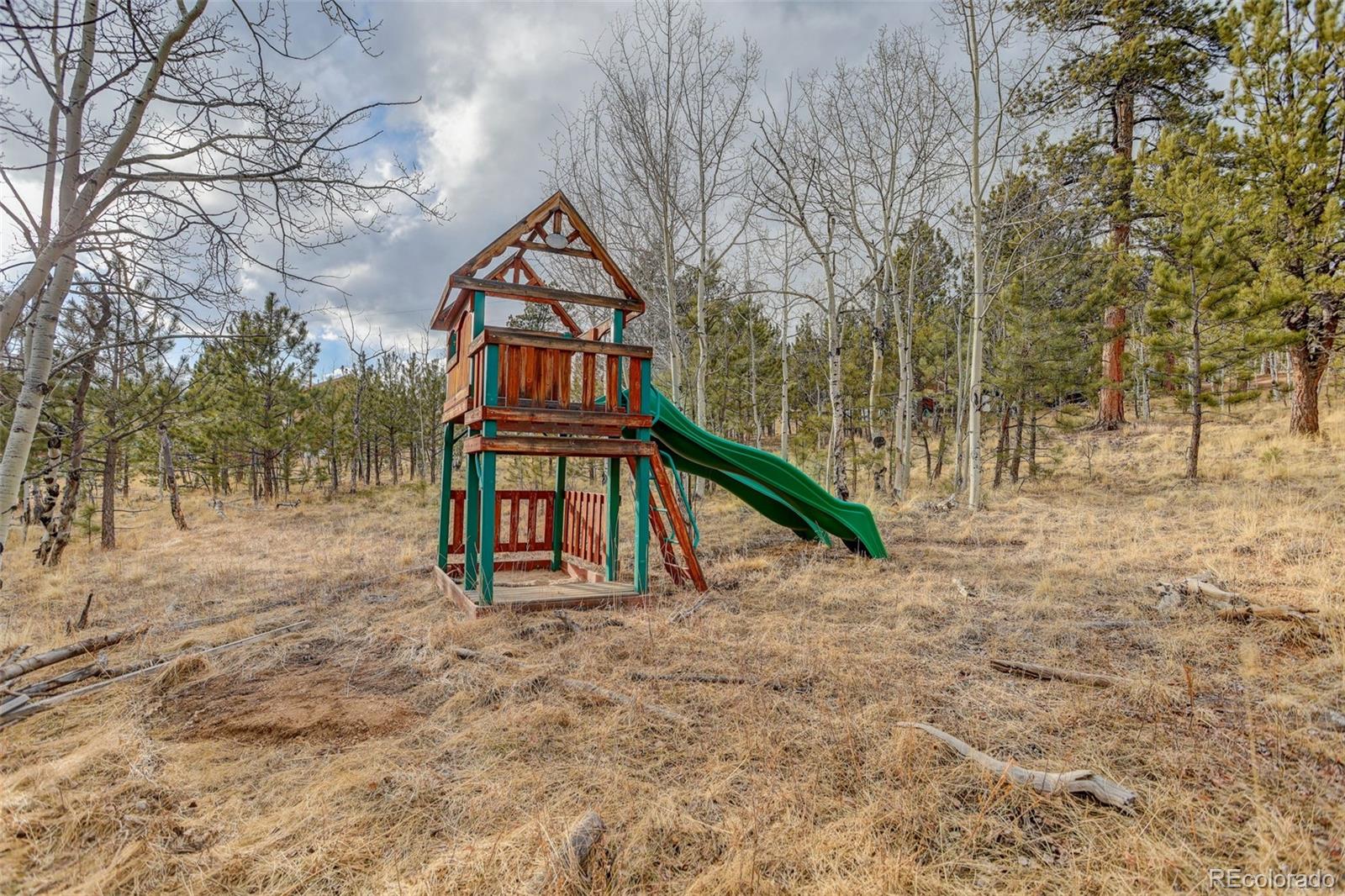 MLS Image #29 for 38  mesa court,bailey, Colorado