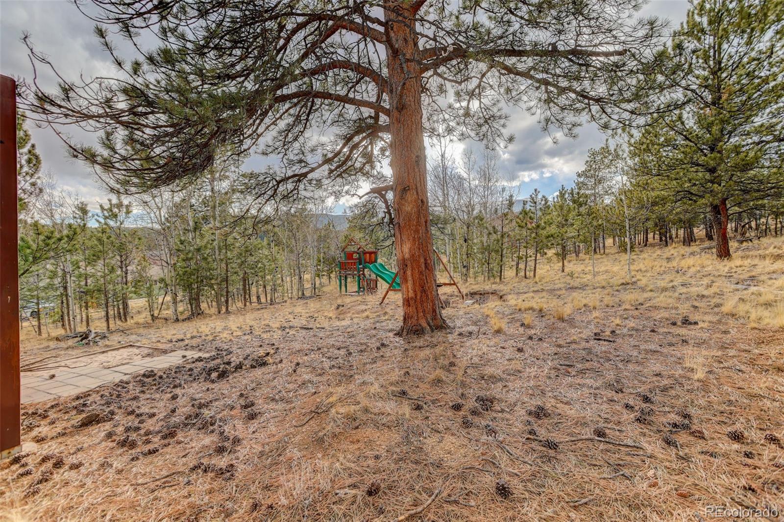 MLS Image #36 for 38  mesa court,bailey, Colorado